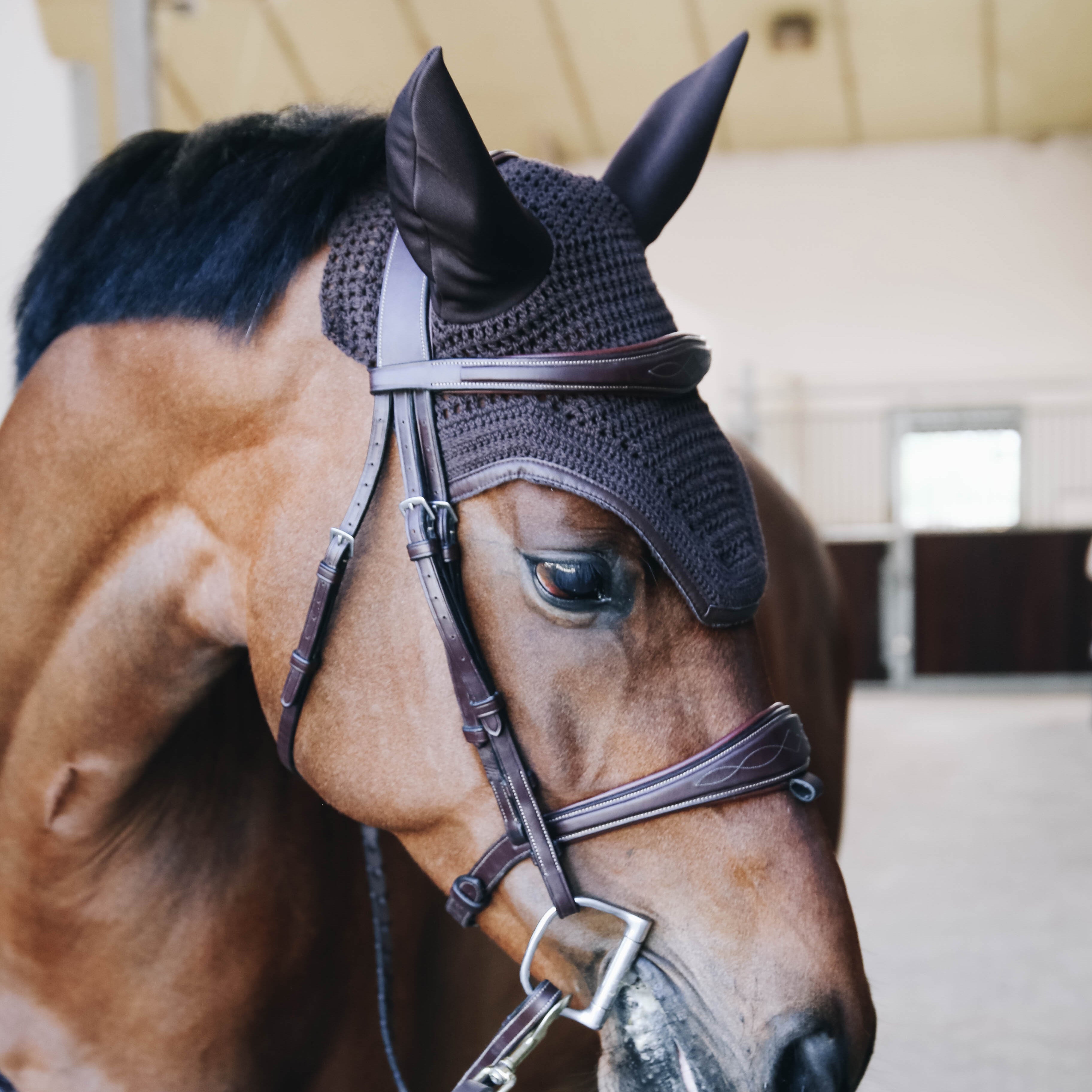 Fliegenhaube Wellington Leder