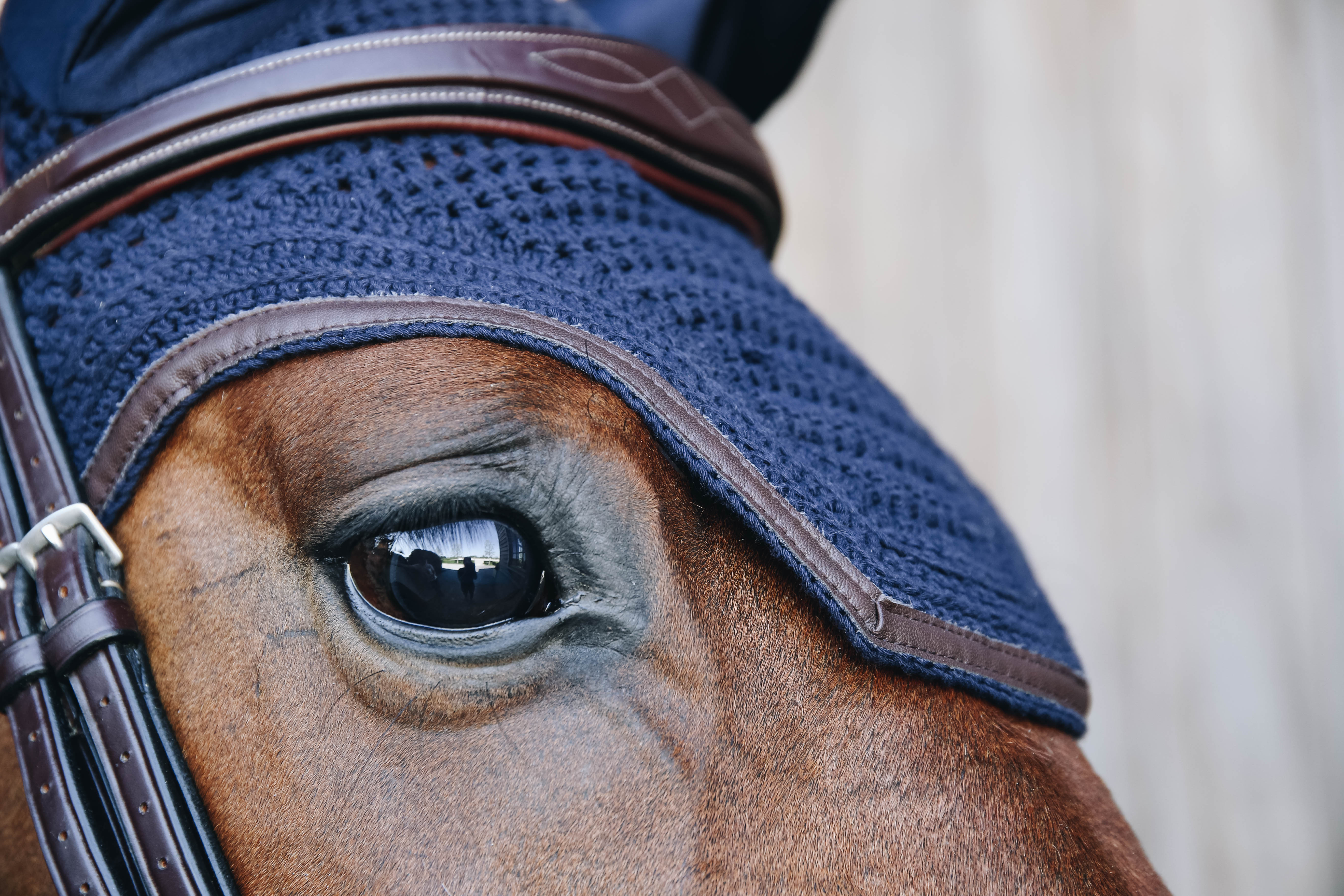 Fliegenhaube Wellington Leder Geräuschlos
