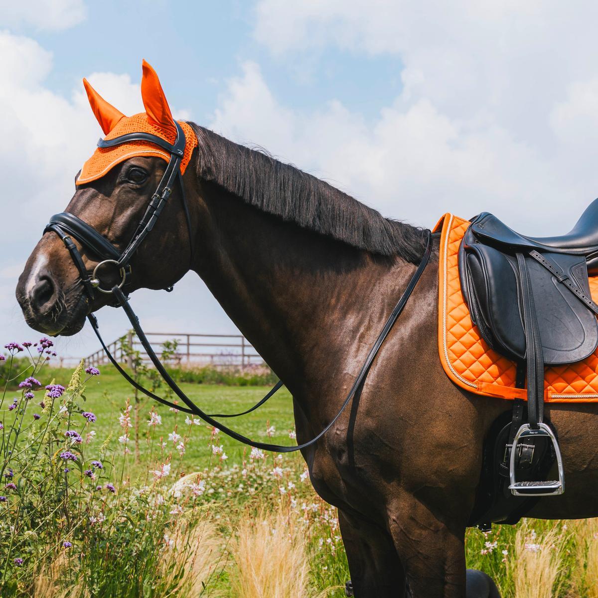 Fliegenhaube Wellington Diamant Strick