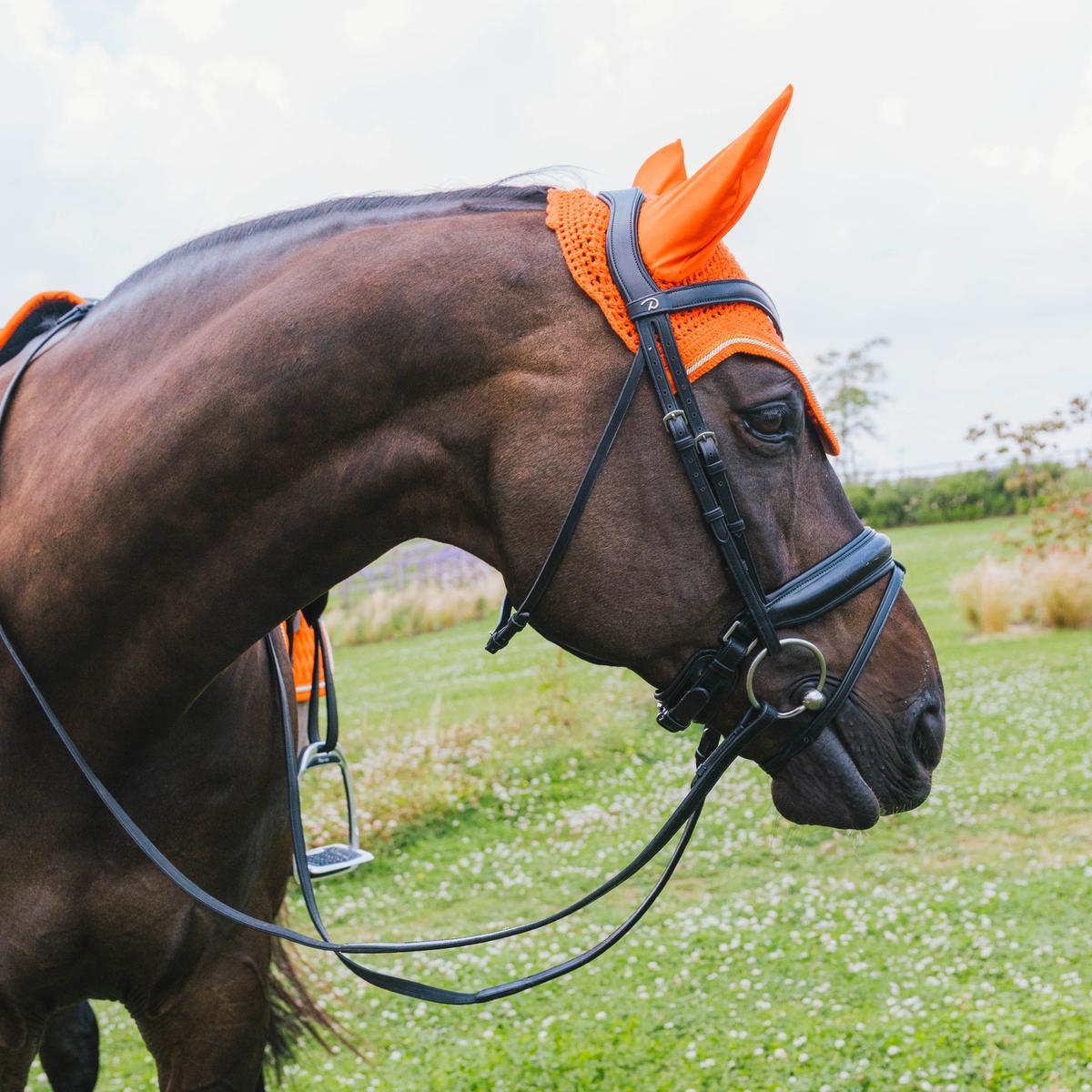 Fliegenhaube Wellington Diamant Strick