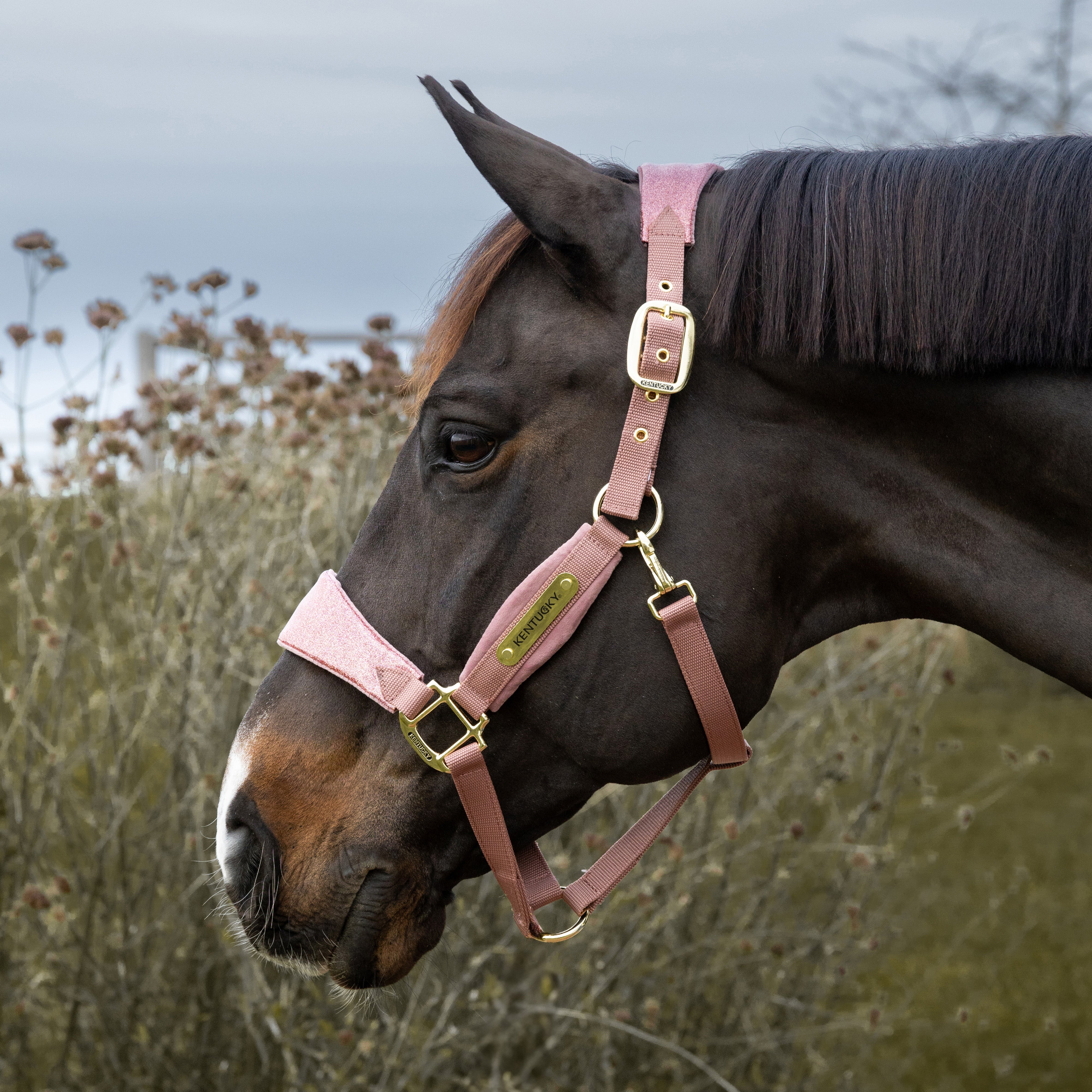 Samt Halfter Einhorn Glitzer Alt