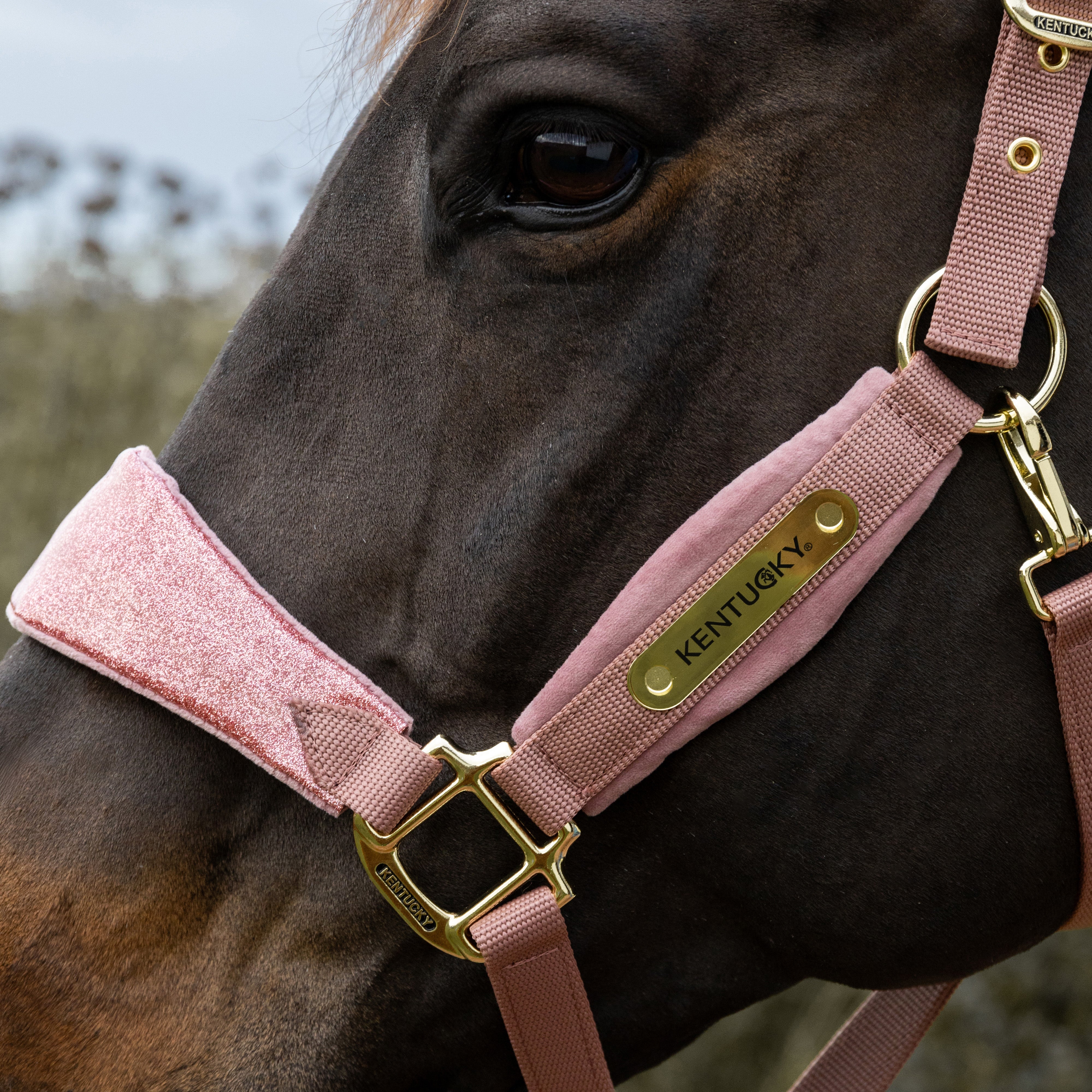 Samt Halfter Einhorn Glitzer Alt