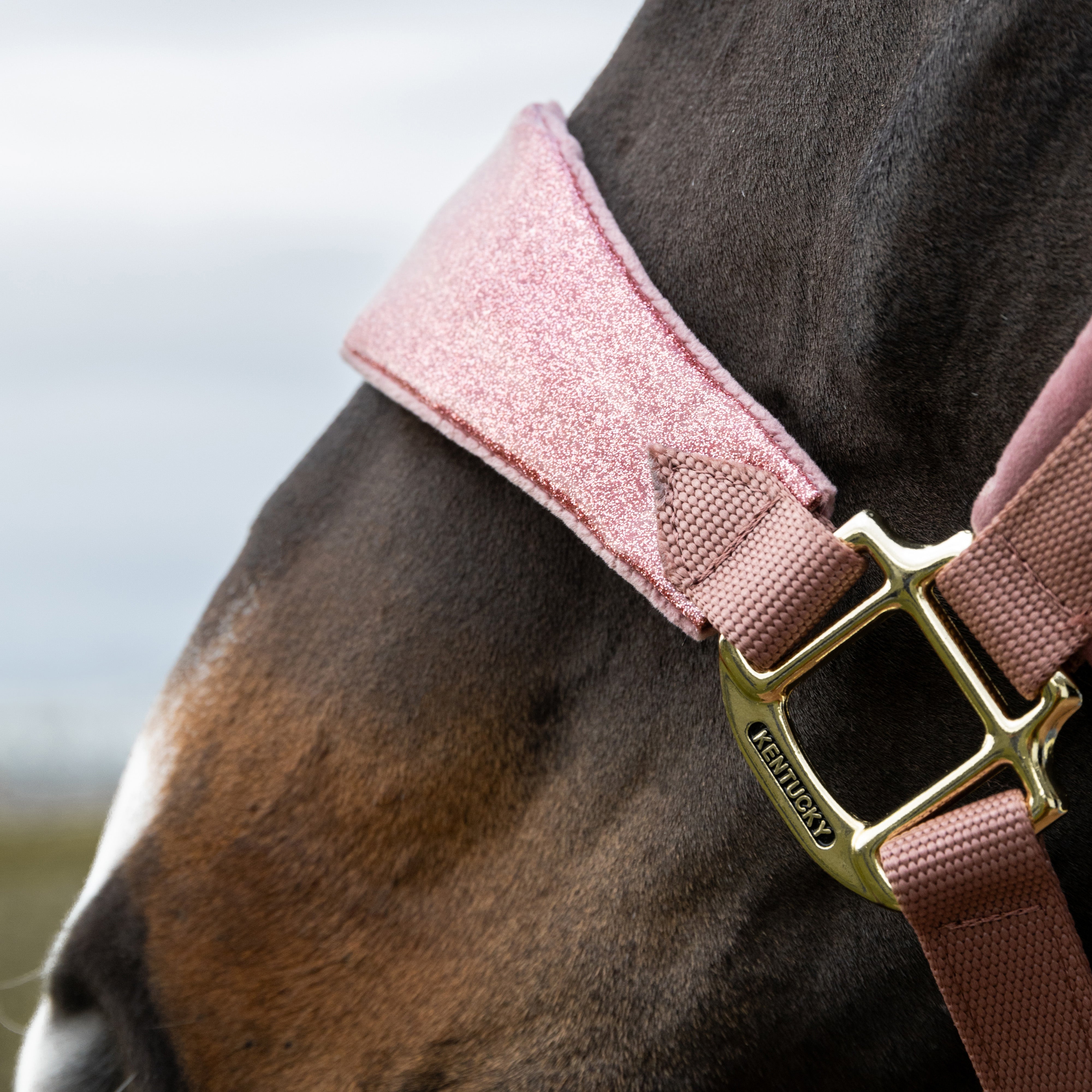 Samt Halfter Einhorn Glitzer Alt