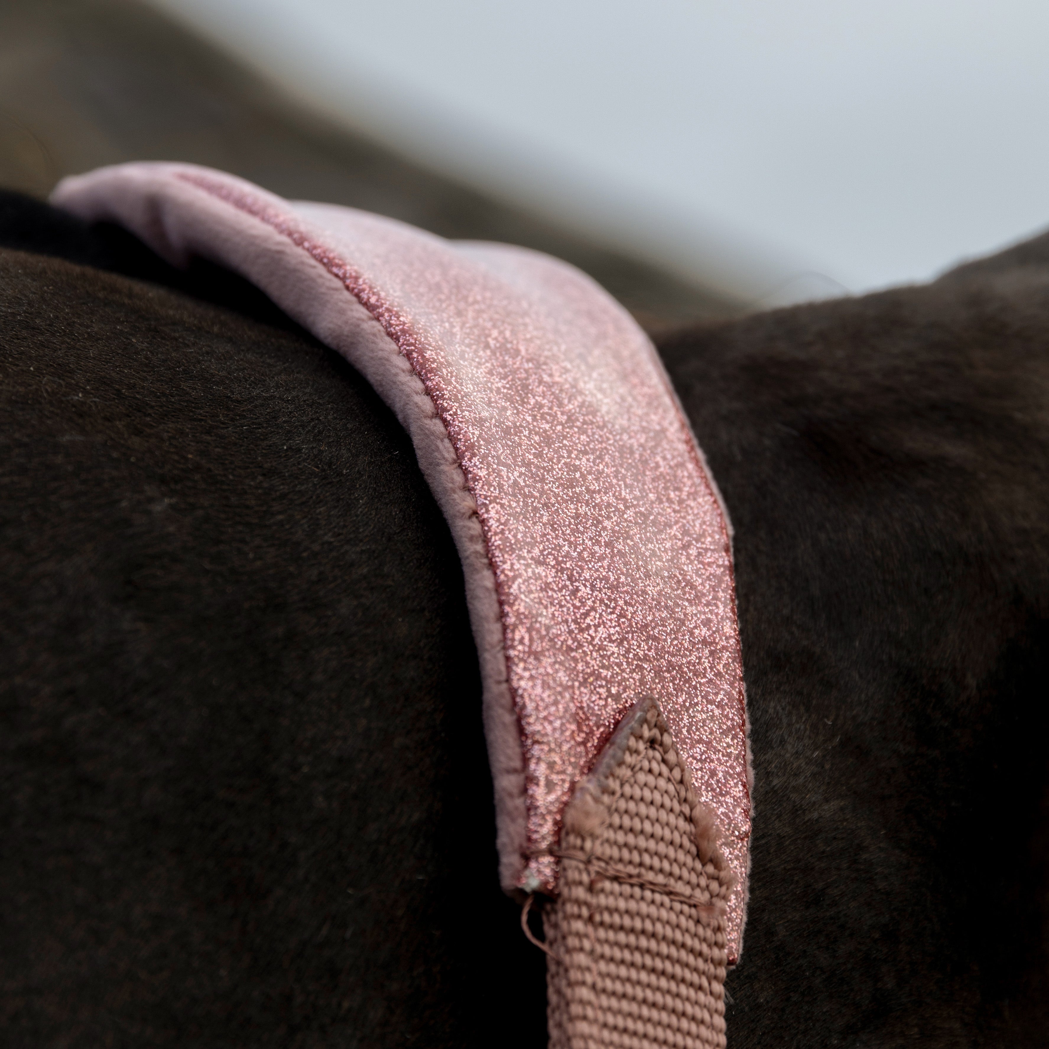Samt Halfter Einhorn Glitzer Alt