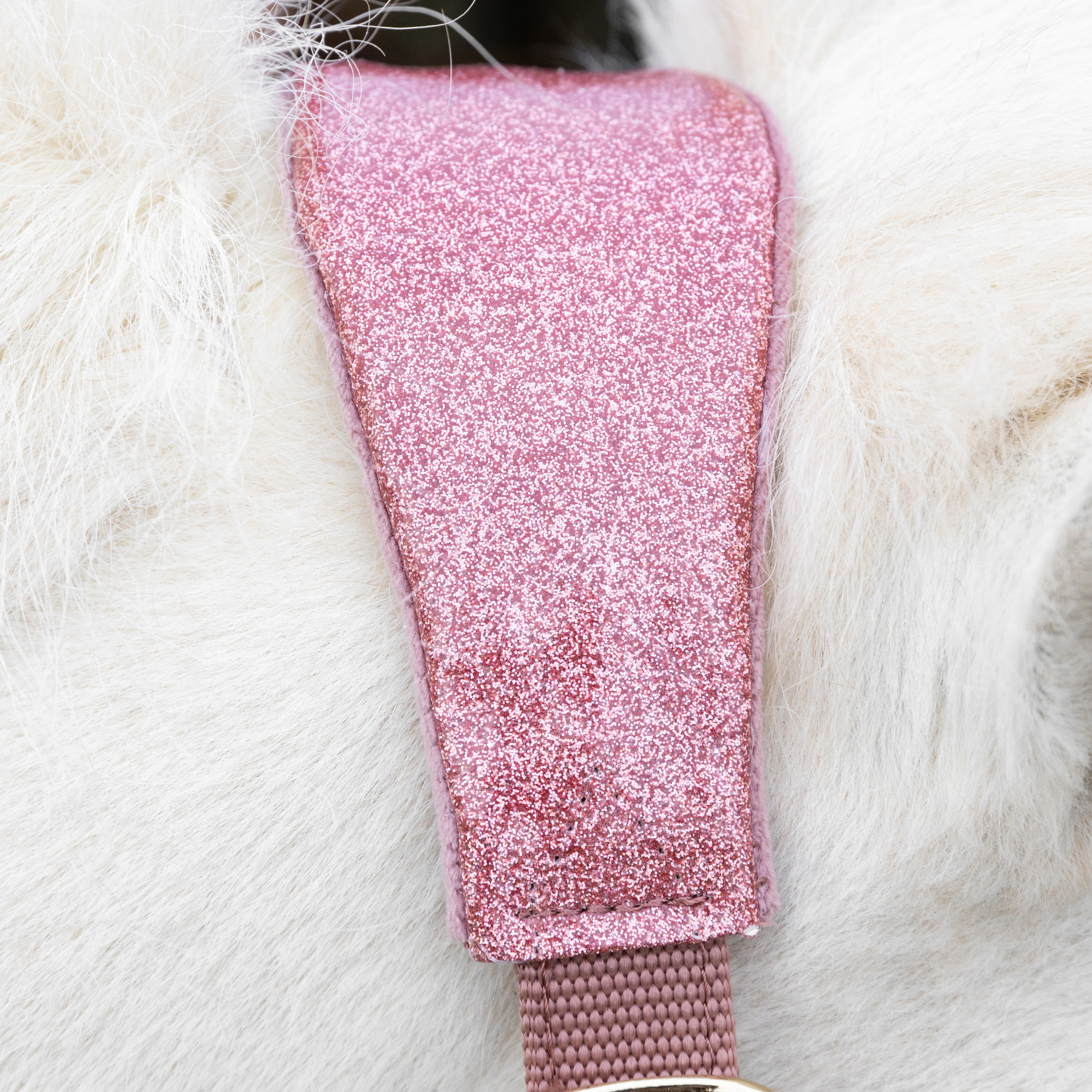 Samt Halfter Einhorn Glitzer Alt