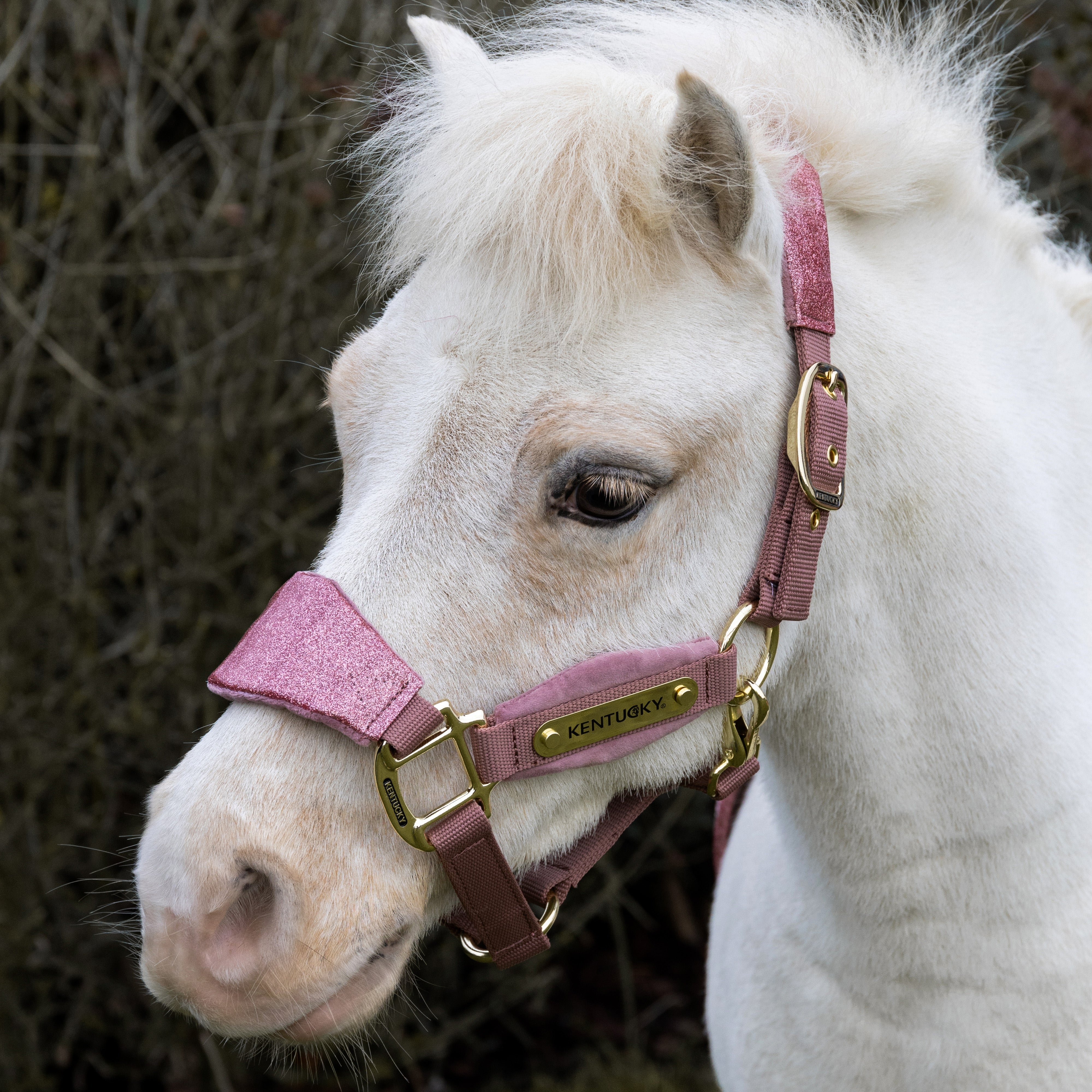 Samt Halfter Einhorn Glitzer Alt
