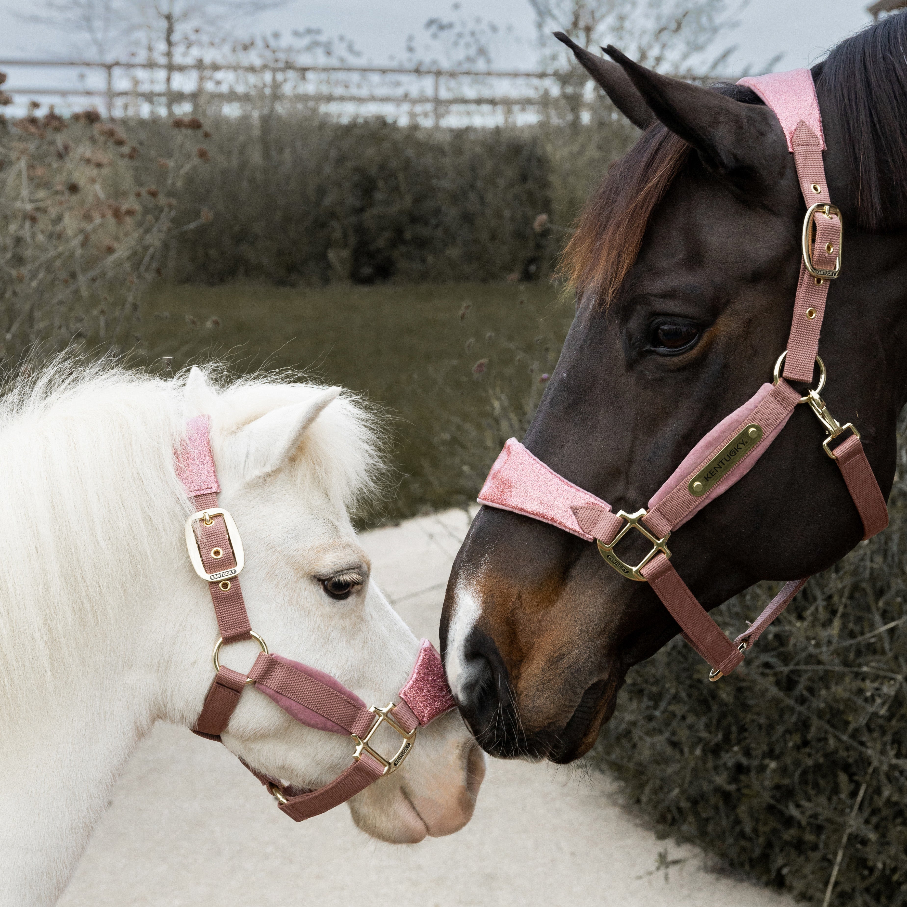 Samt Halfter Einhorn Glitzer Alt