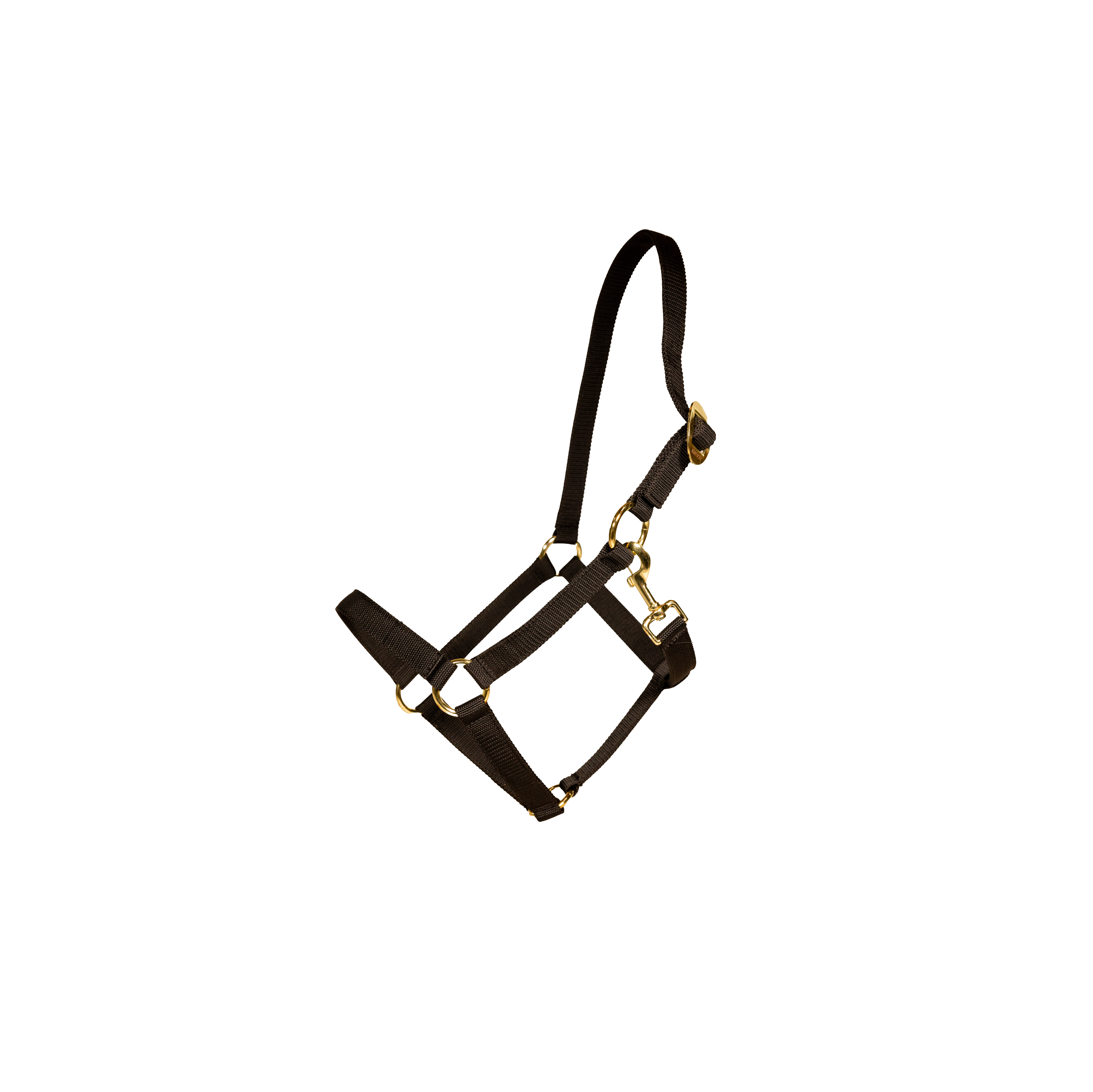 Nylon Halfter