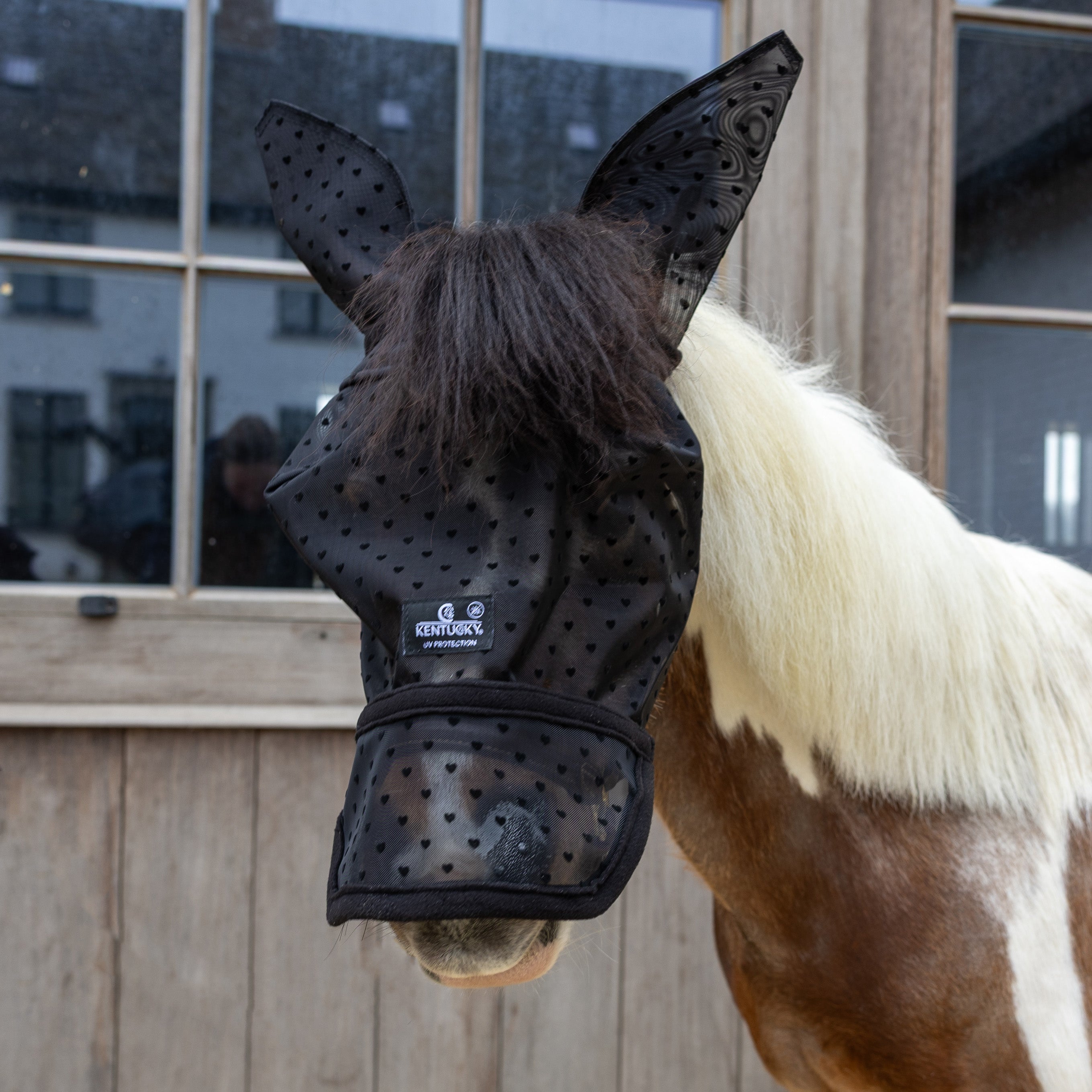 Fliegenmaske Herz Mit Ohren Und Nase Shetland