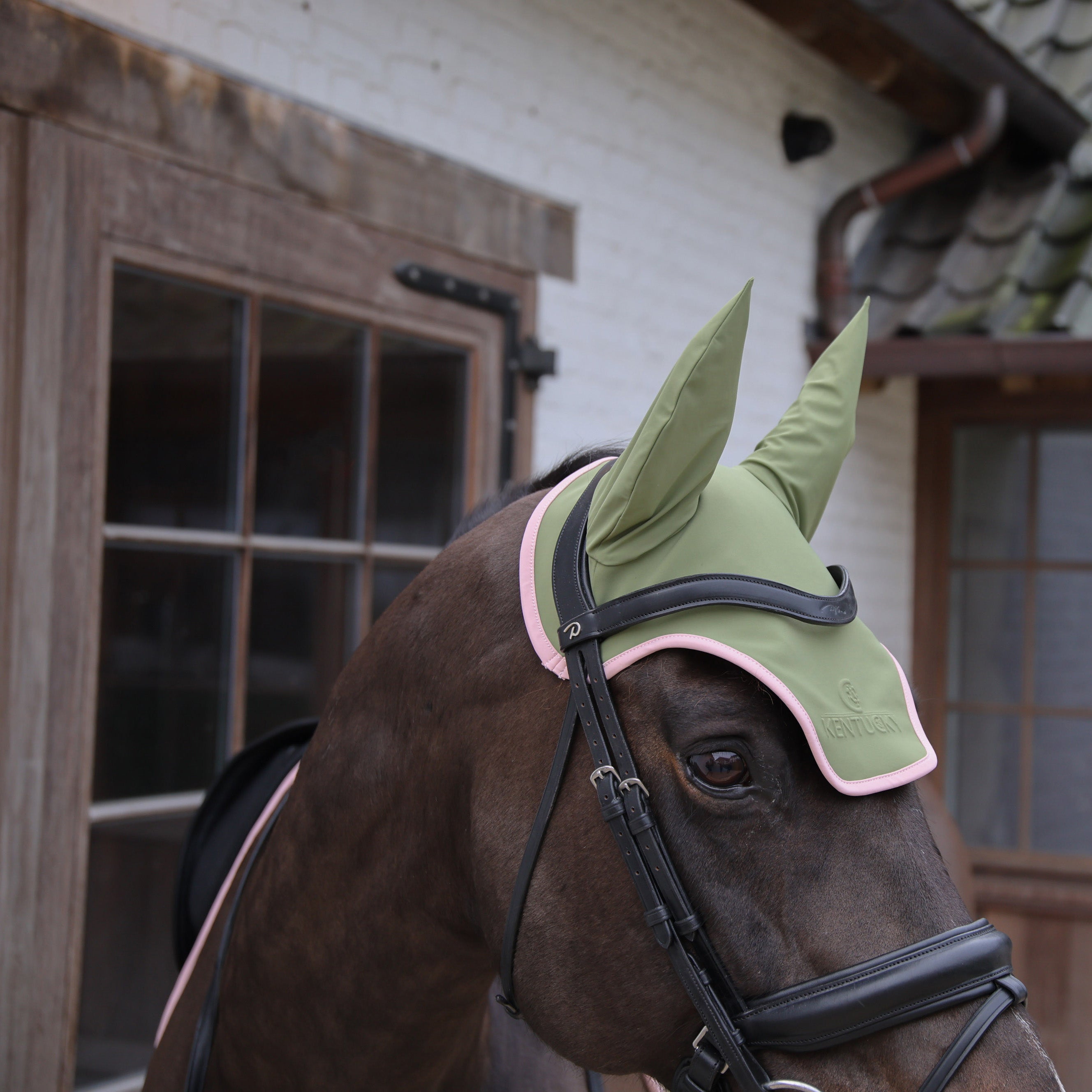 Fliegenhaube Wellington Softshell