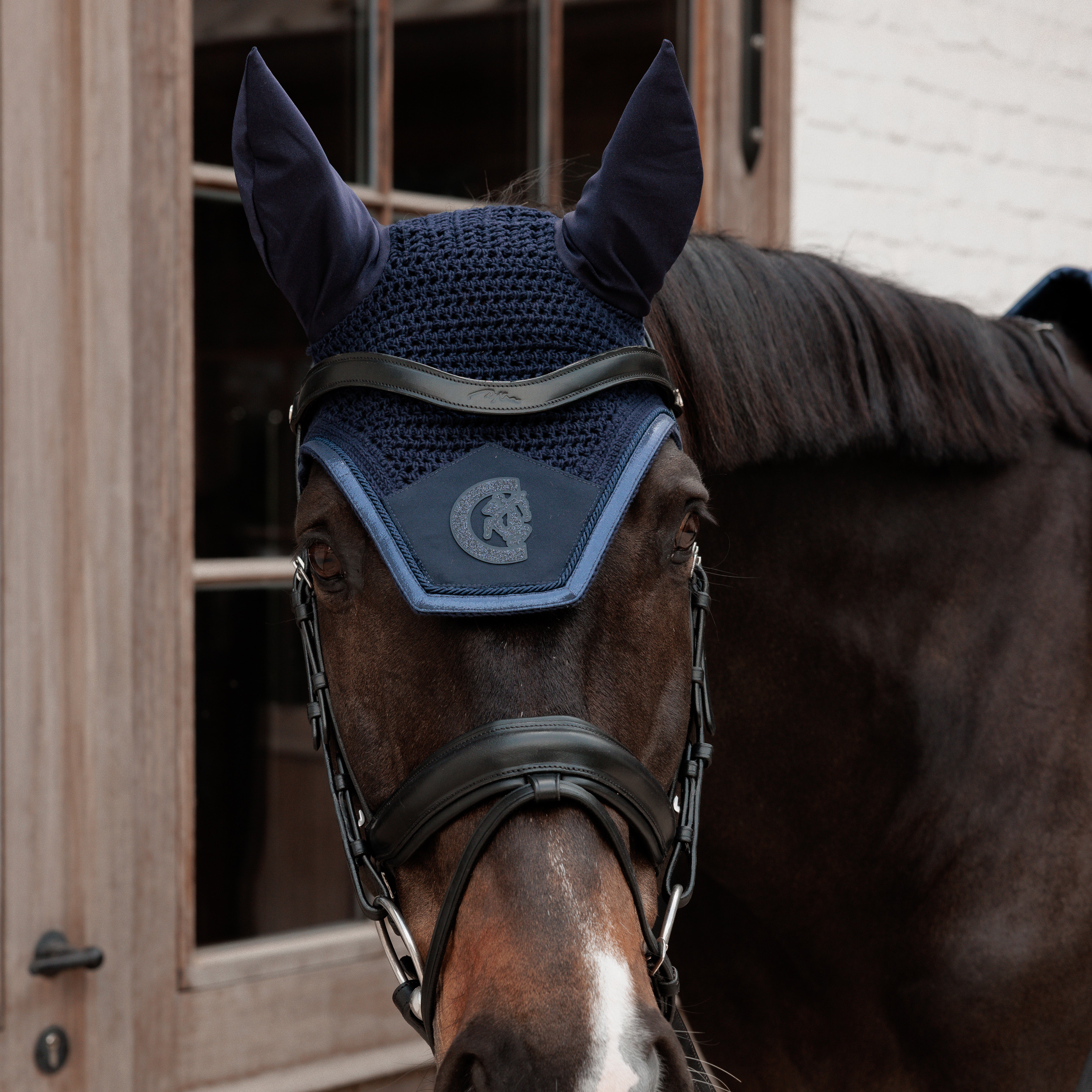 Fliegenhaube Wellington Glitzer Sparkling