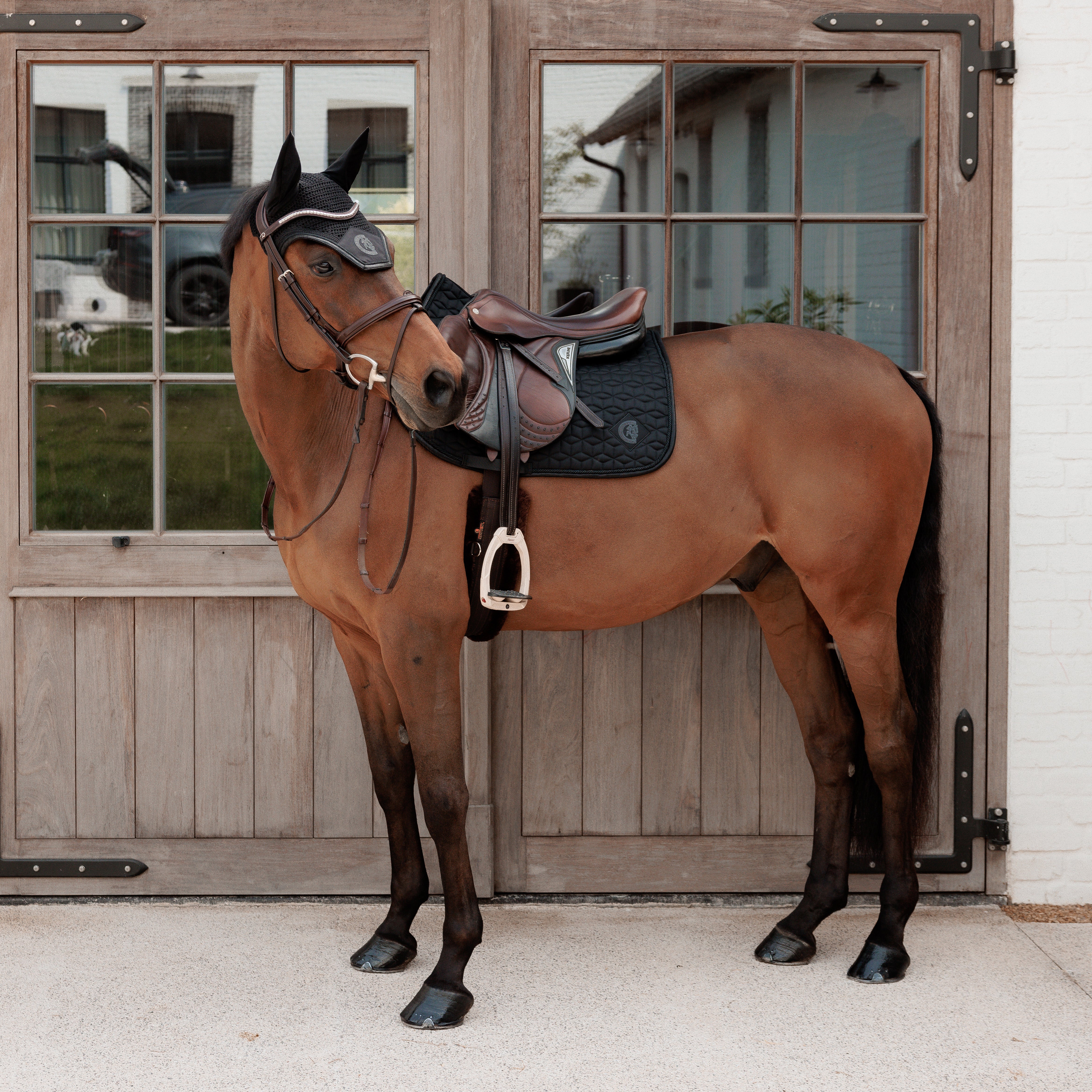 Sattelpad Glitzer Sparkling