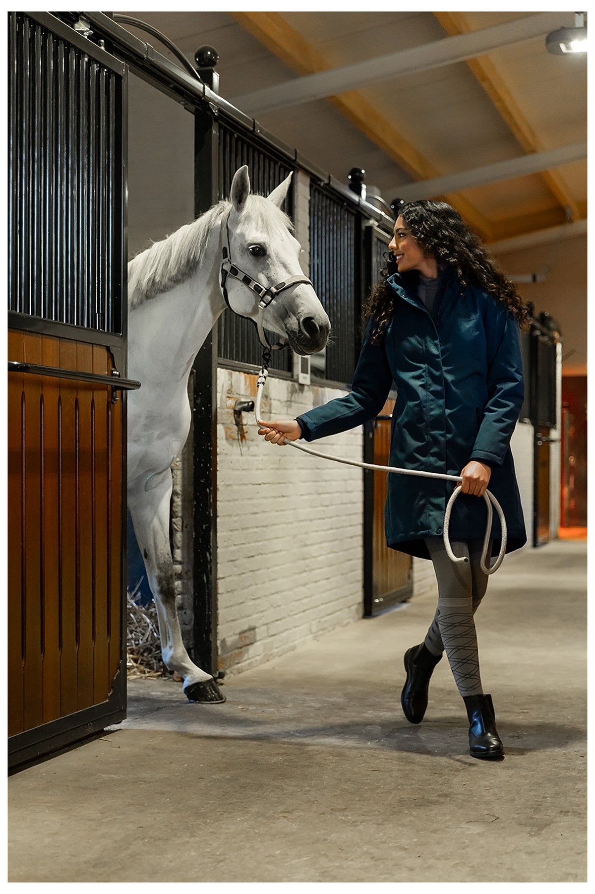 BR Halfter Loes