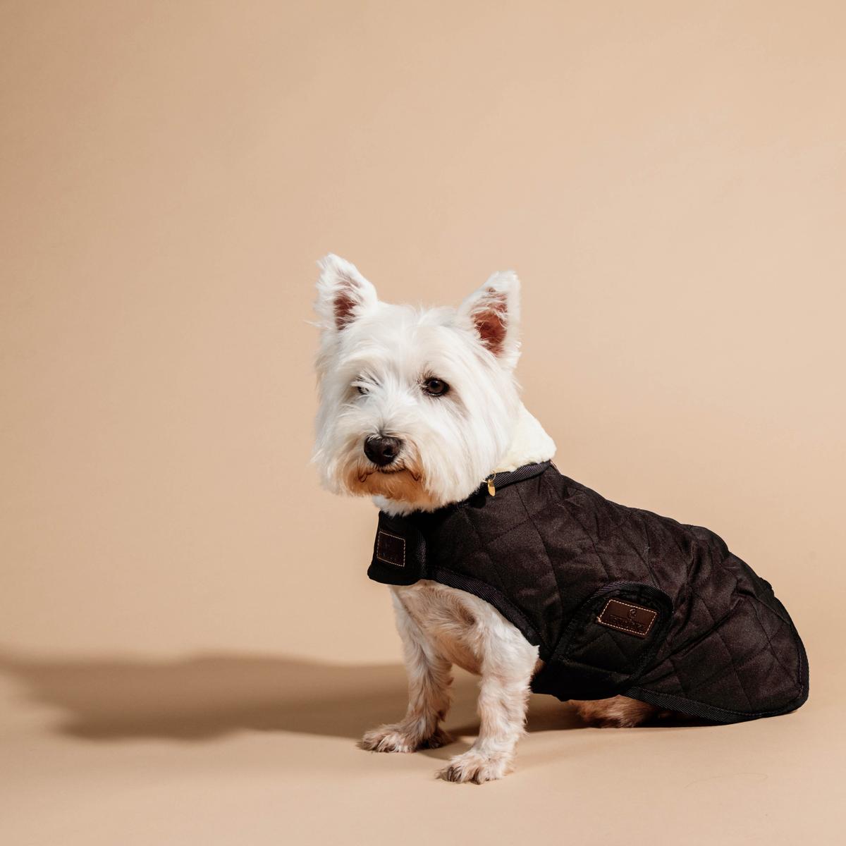 Hundemantel Original