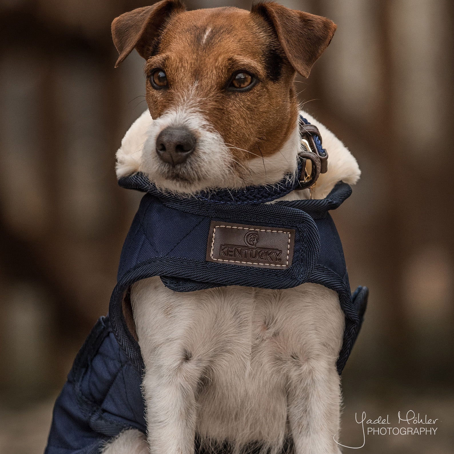 Hundemantel Original 76