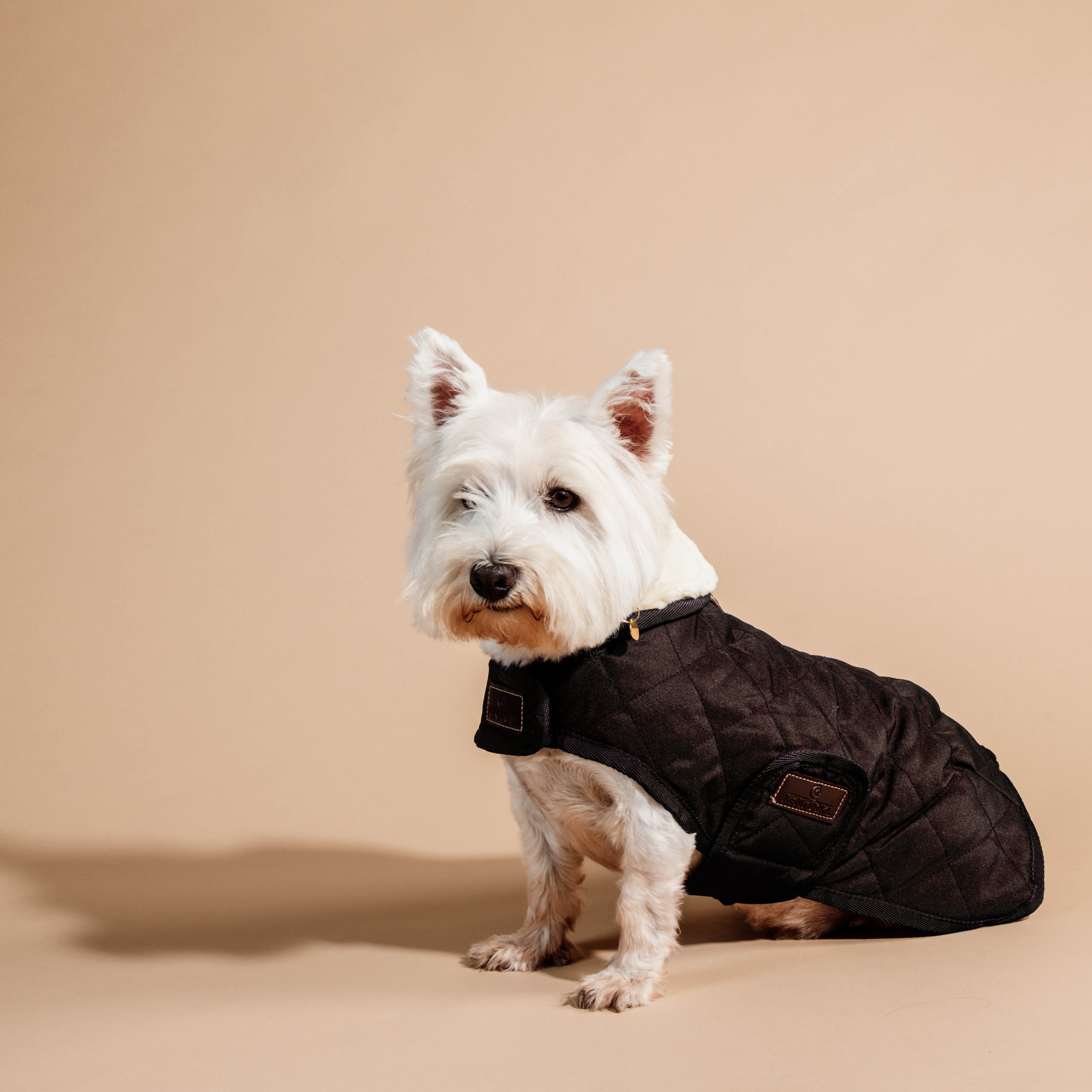 Hundemantel Original SM