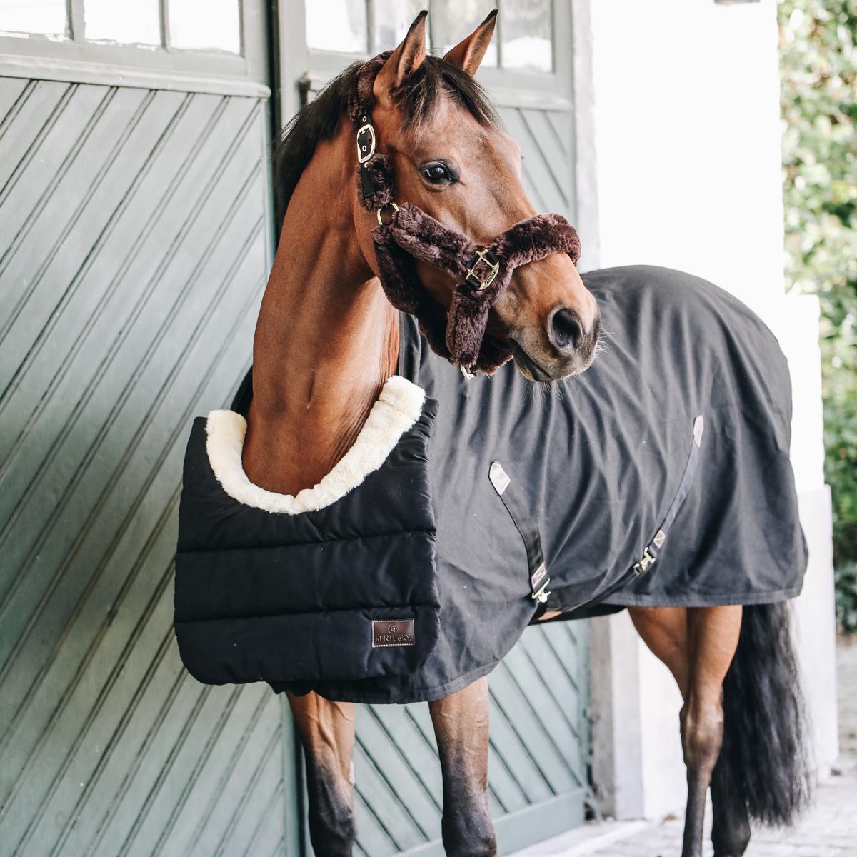 Pferd BIB Brustschutz Latz Winter