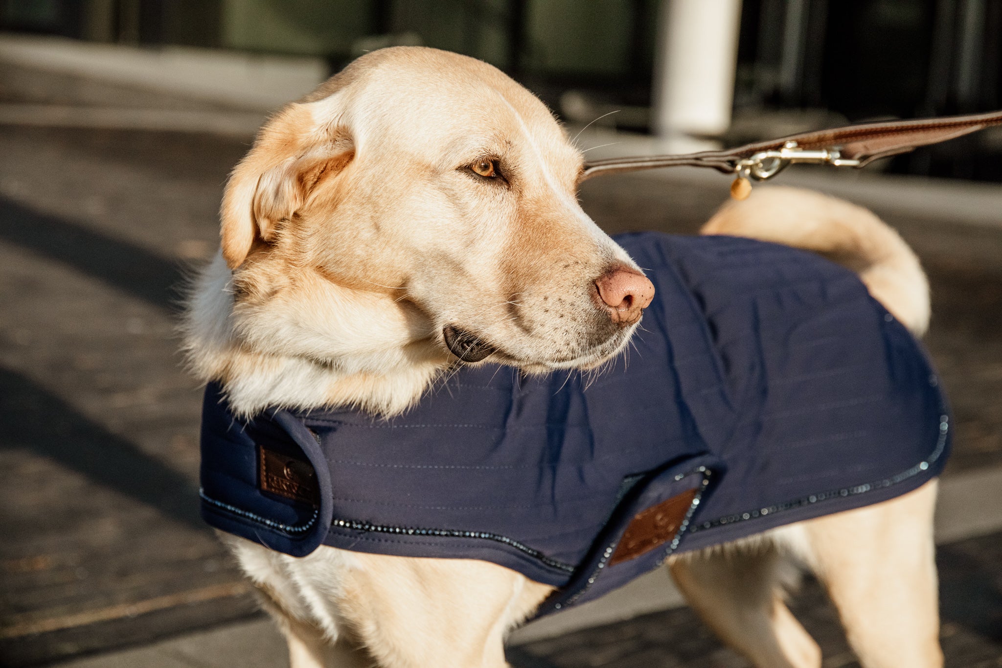 Hundemantel Perlen SM