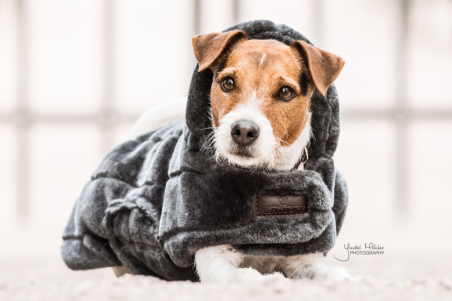 Hundemantel Fake Fur