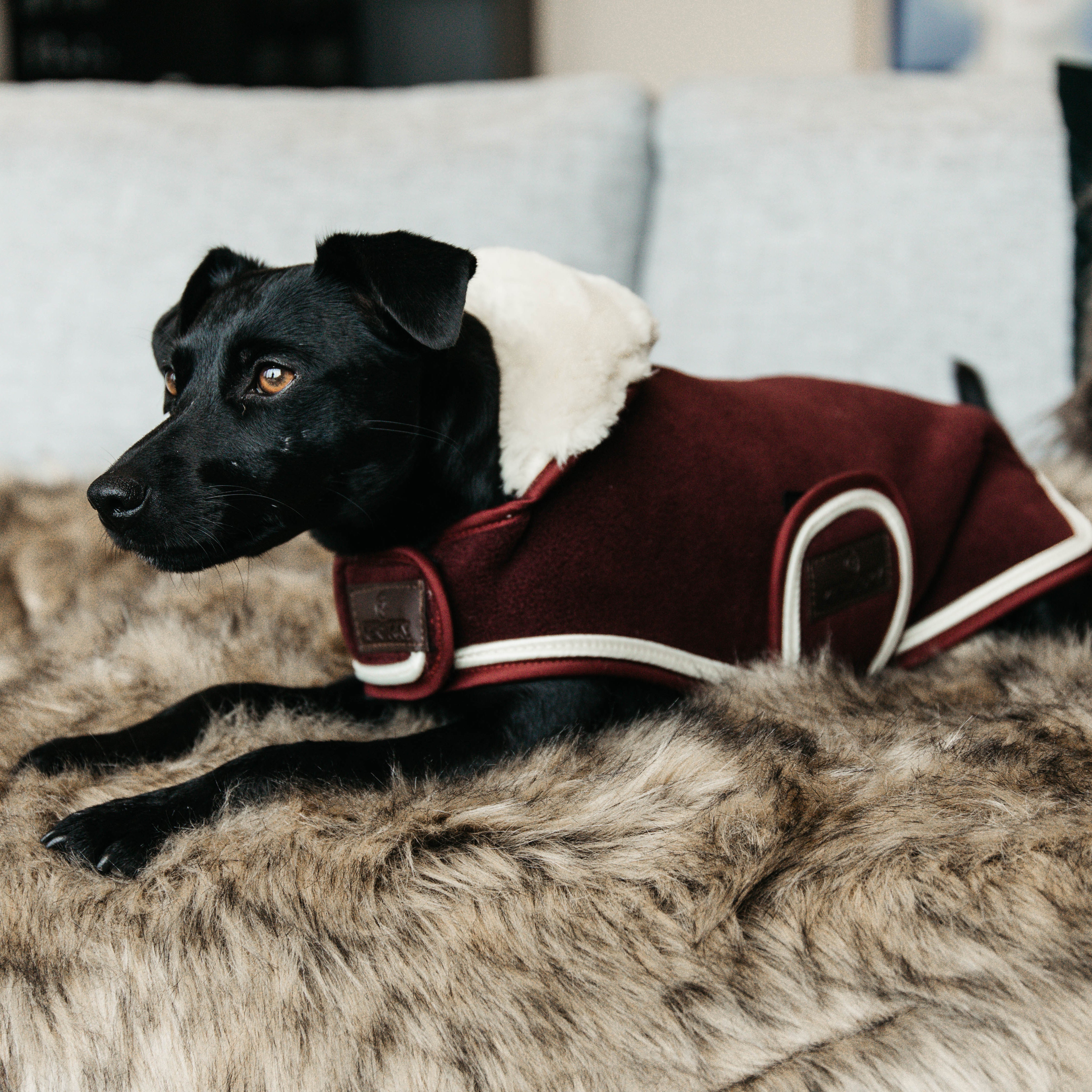 Hundemantel Schwer Fleece SM