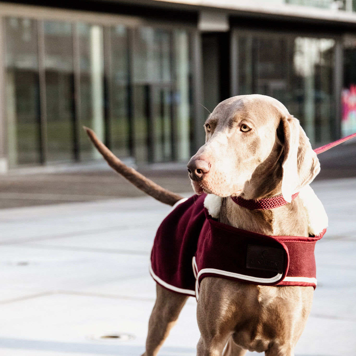 Hundemantel Schwer Fleece SM