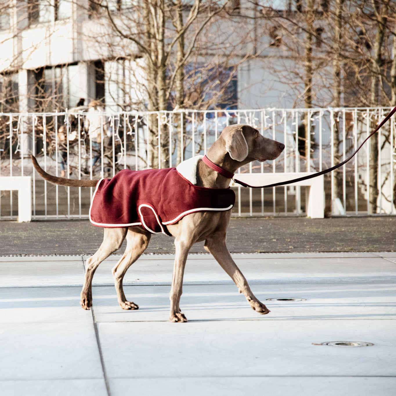 Hundemantel Schwer Fleece L56cm