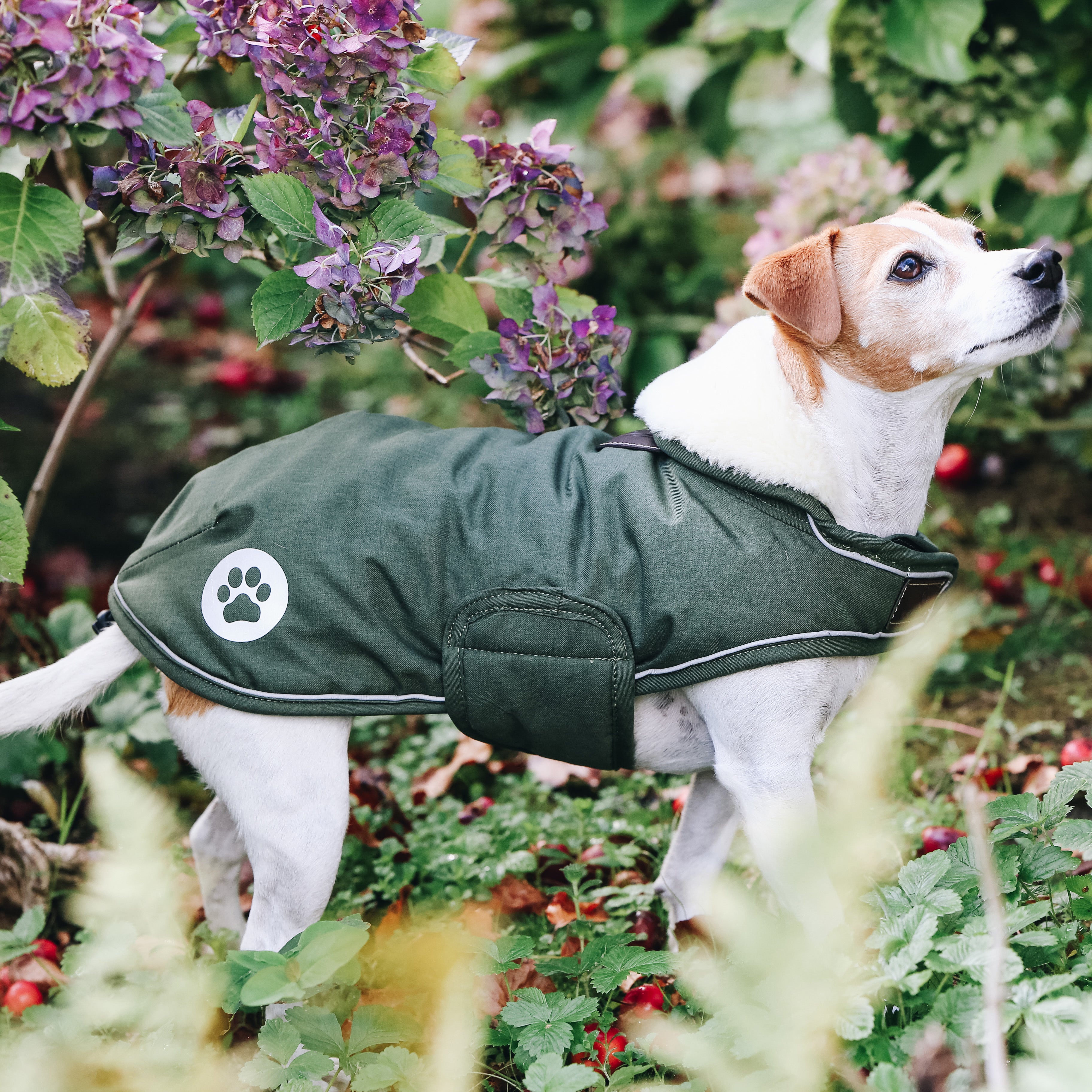 Hundemantel Wasserdicht 76