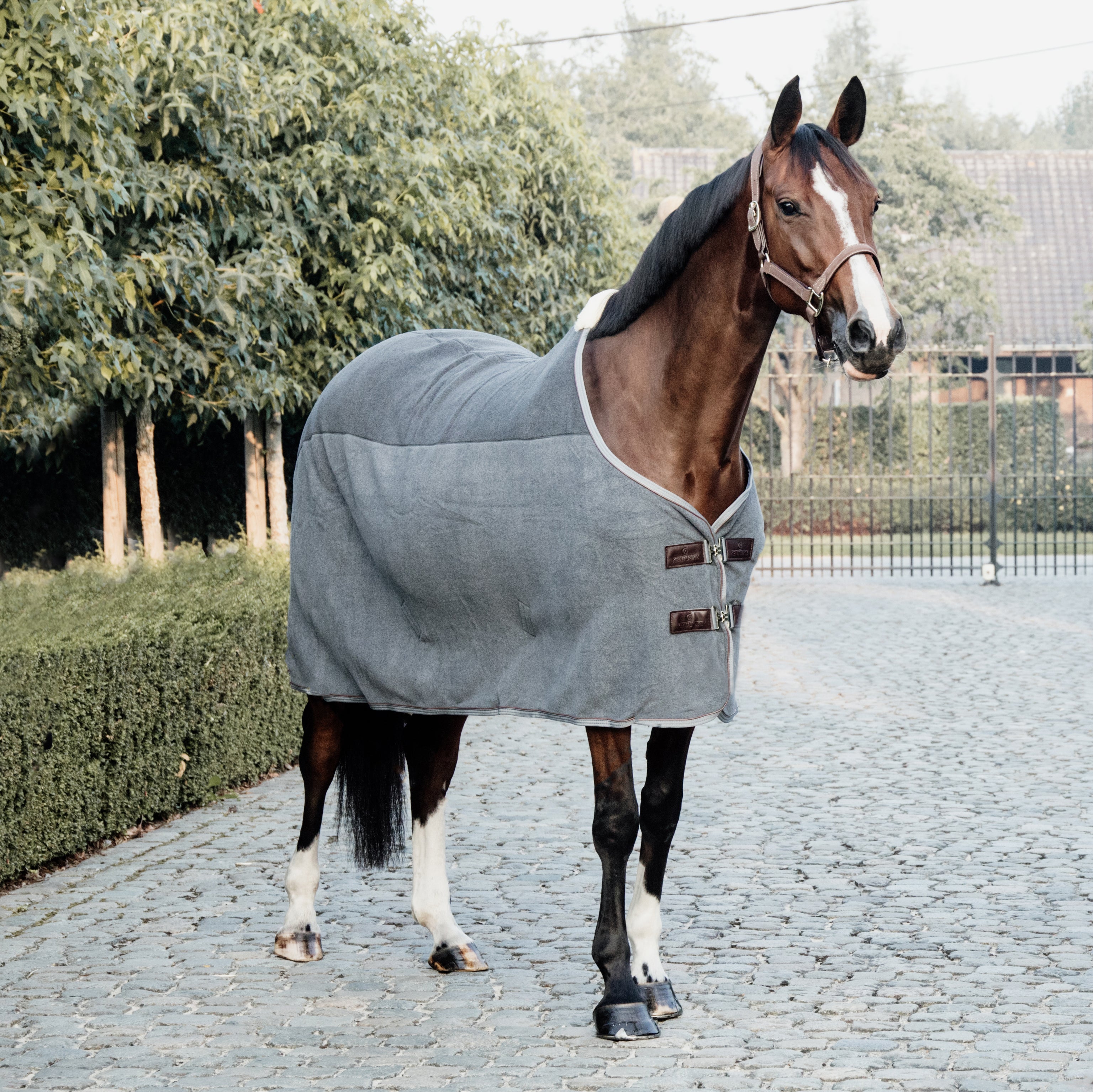 Fleece Decke Schwer