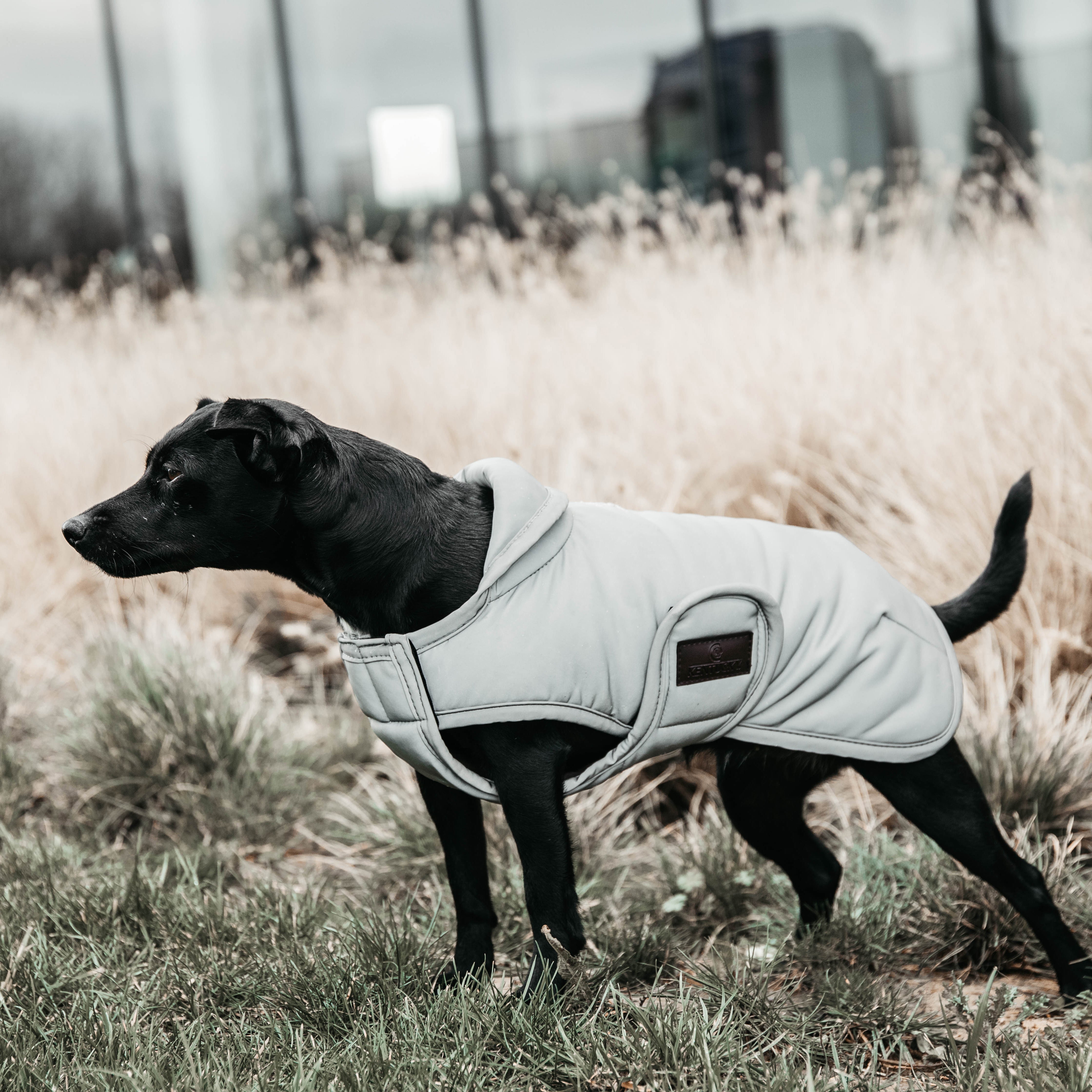Hundemantel Reflektierend & Water Repellent Belly Cover Silver150g