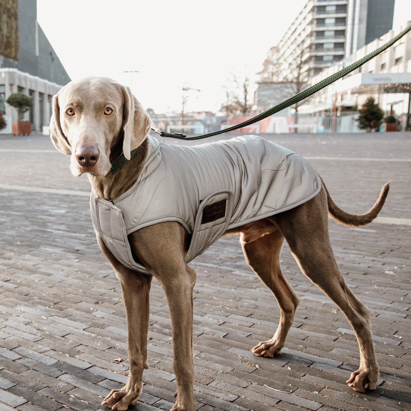 Hundemantel Reflektierend & Water Repellent Belly Cover Silver150g L56cm