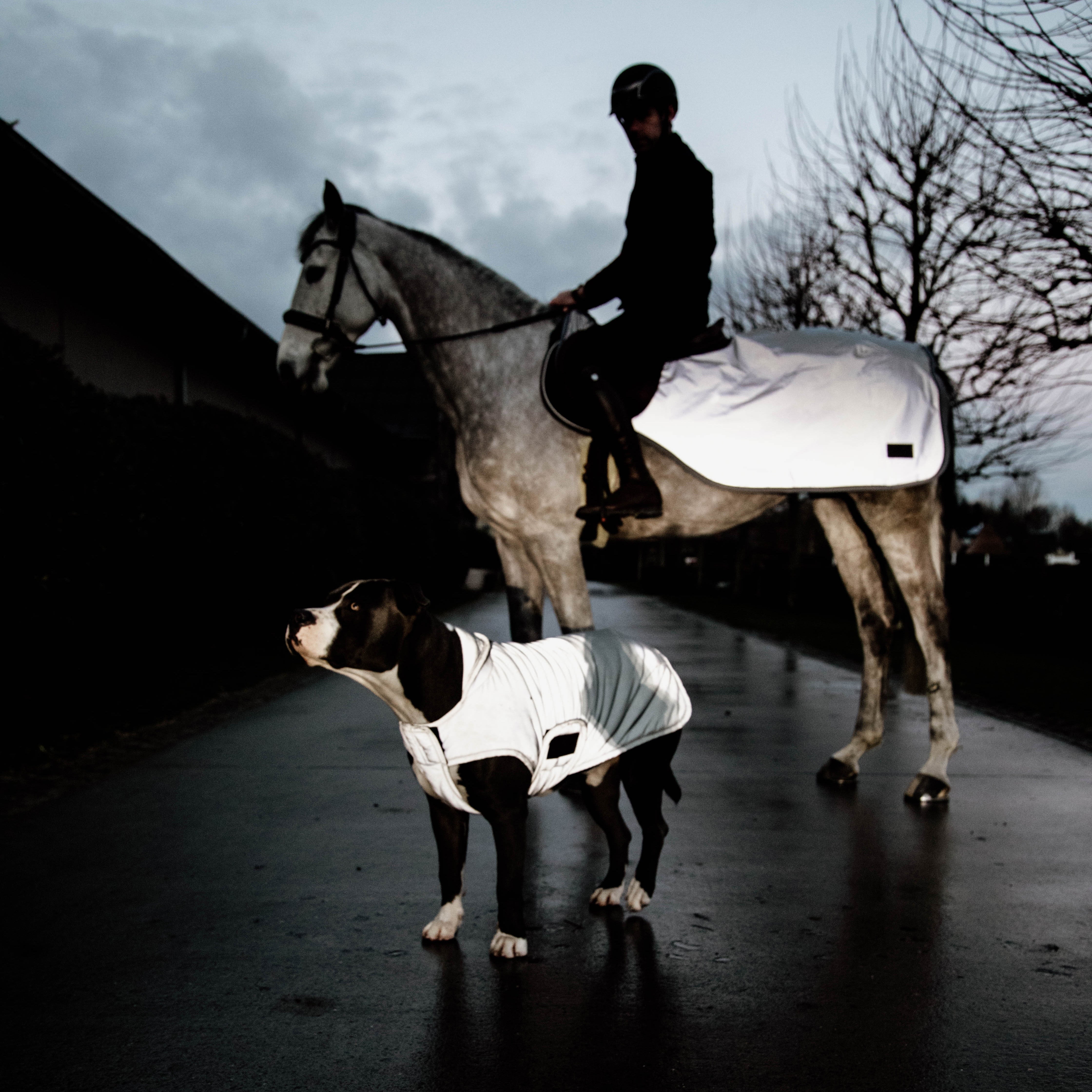 Hundemantel Reflektierend & Water Repellent Belly Cover Silver150g L56cm