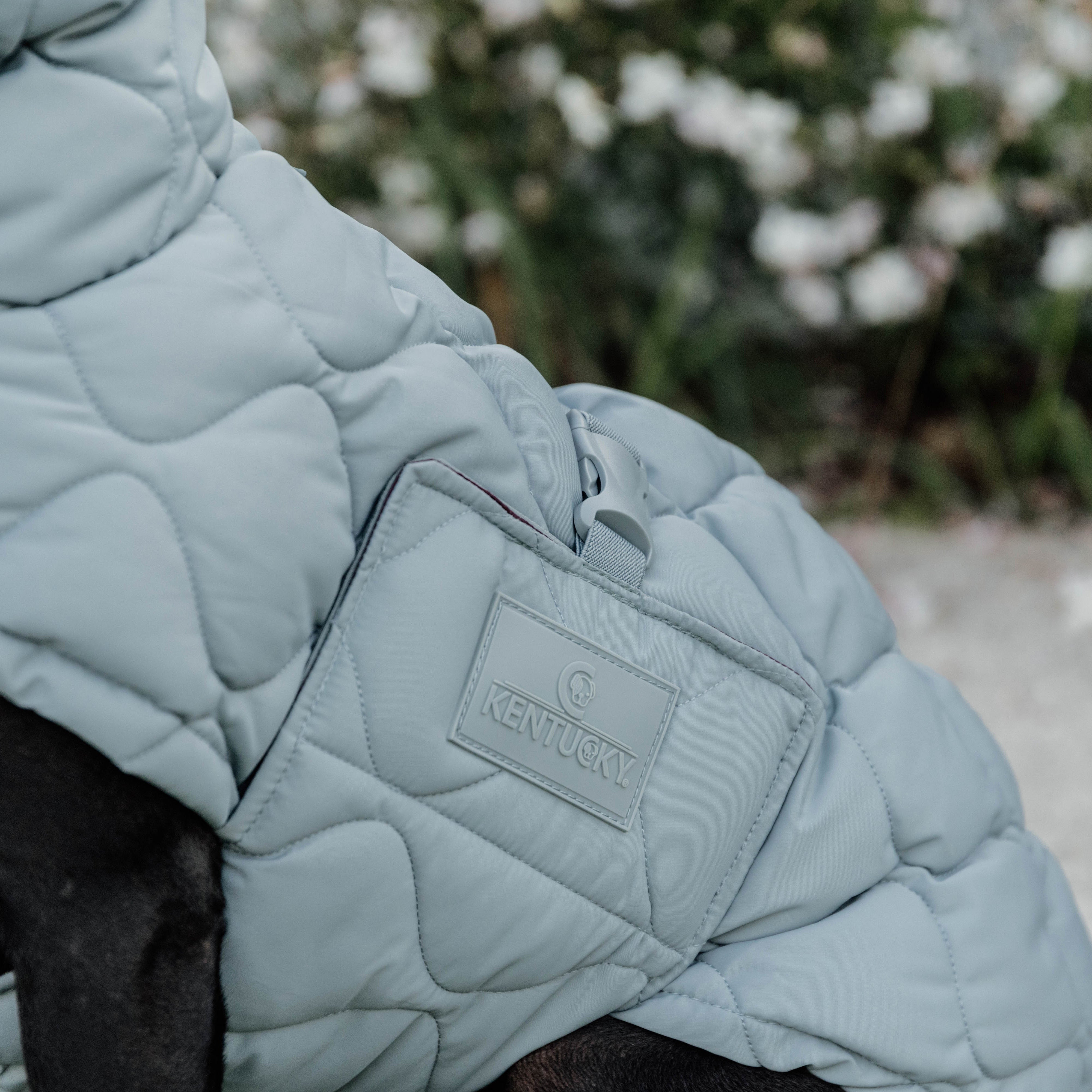 Hundemantel Winter Pina 51