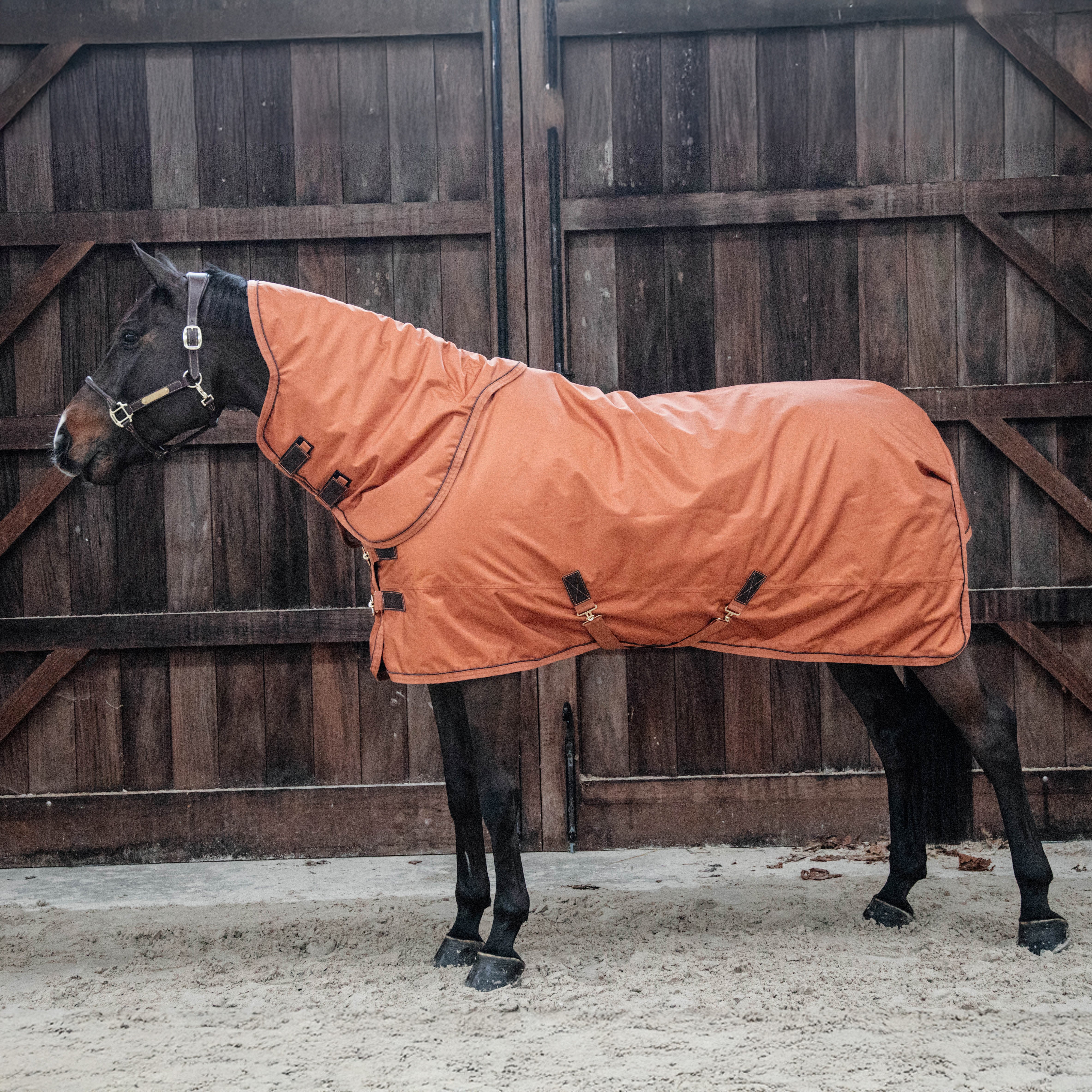 Hals Wetter Wasserdicht Herbst Extra