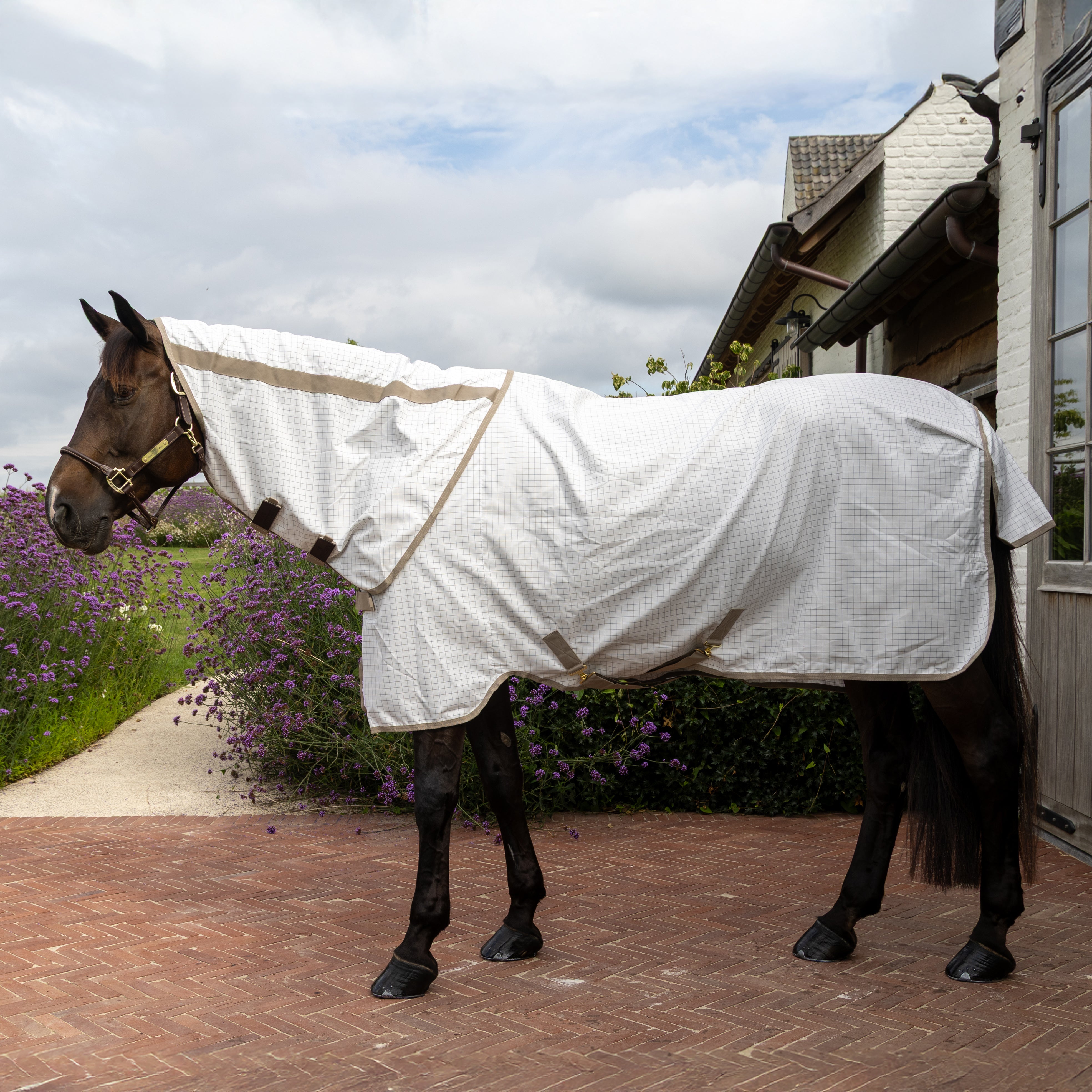 Sweet Itch Fliegen & Sommerdecke Komfort