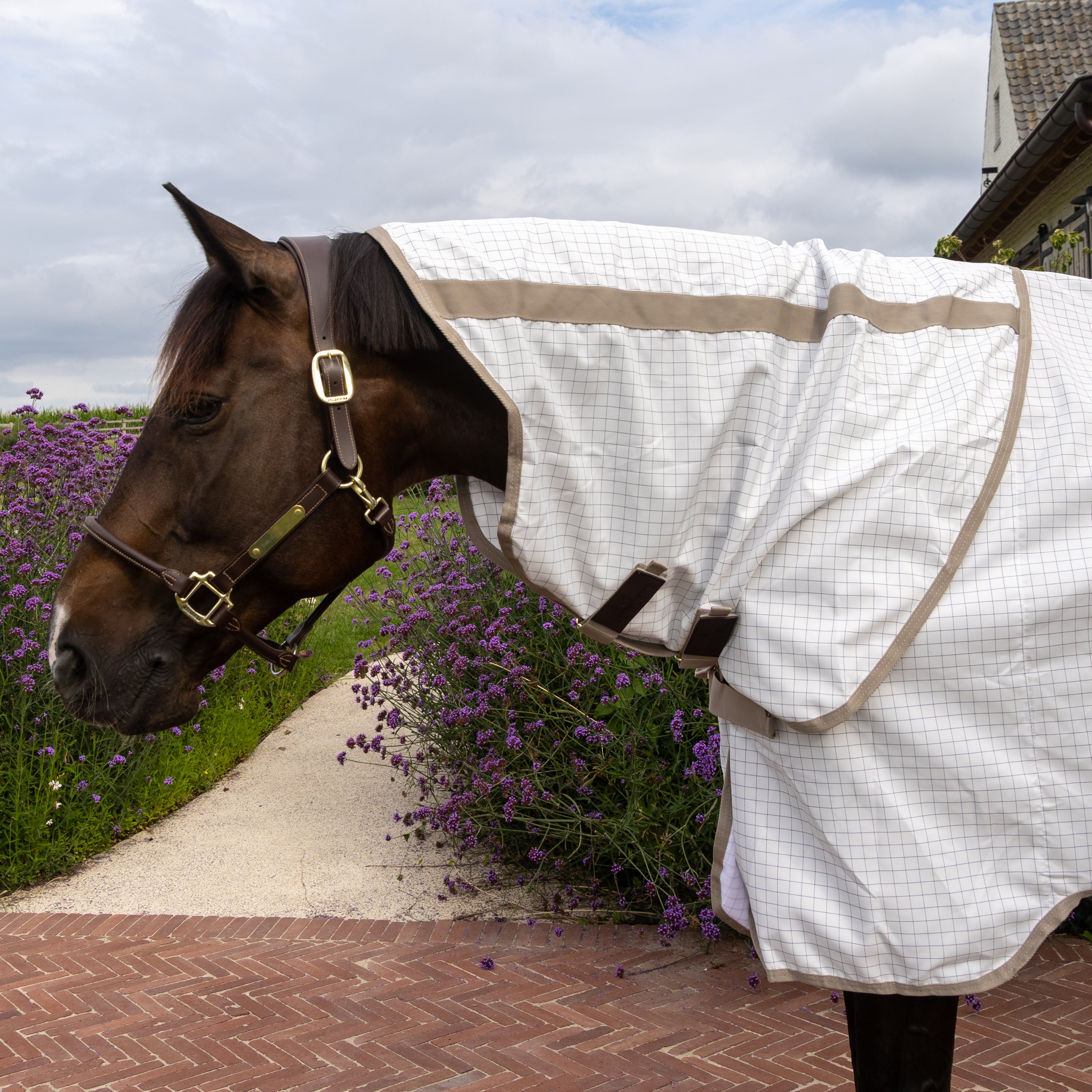 Sweet Itch Fliegen & Sommerdecke Komfort