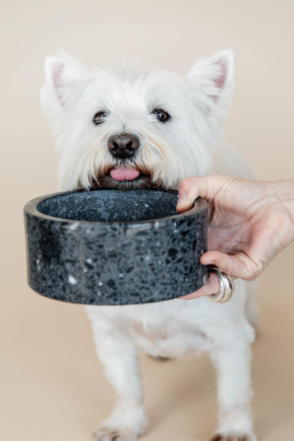Schale Terrazzo Stein - Kentucky Dogwear