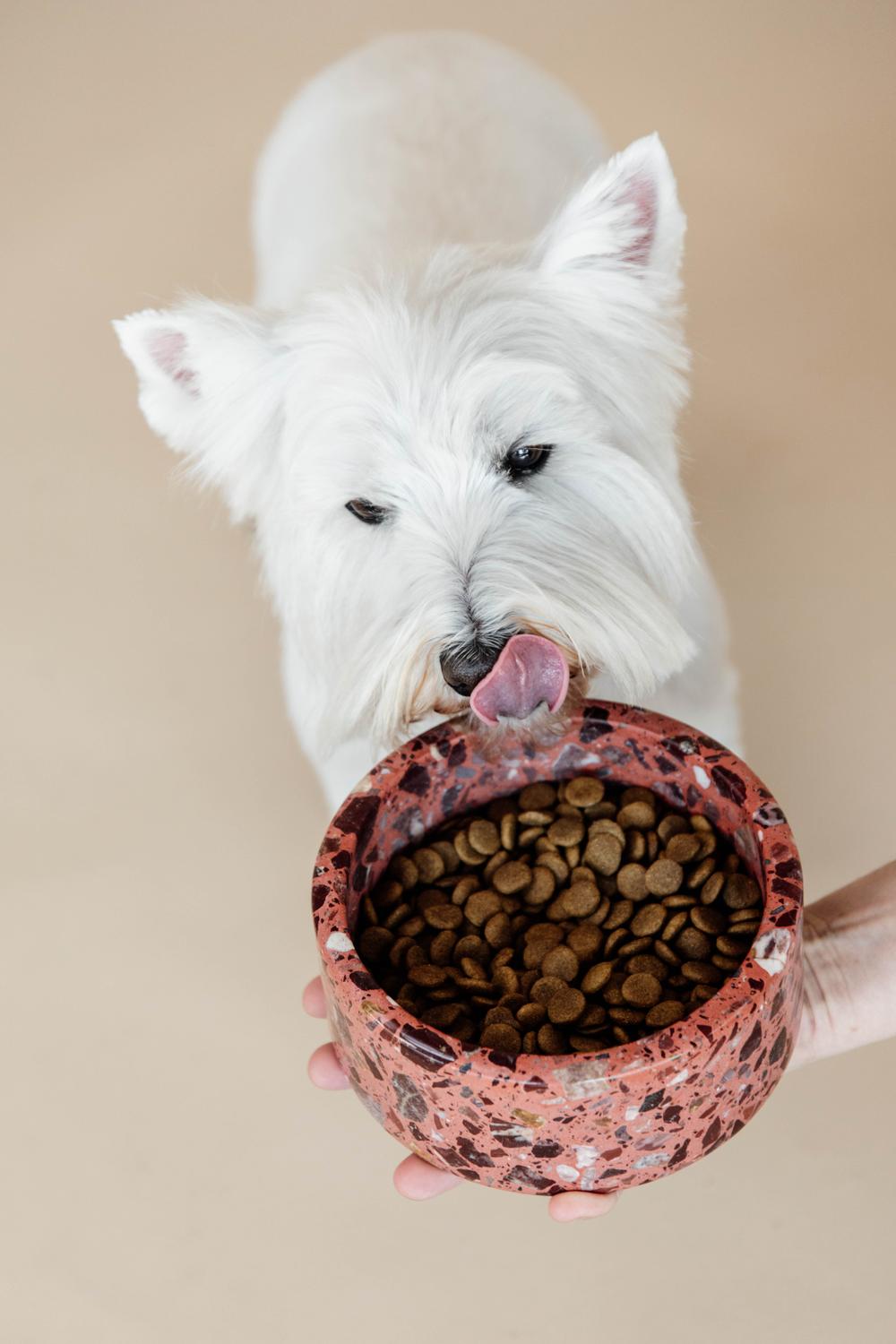 Schale Terrazzo Stein - Kentucky Dogwear