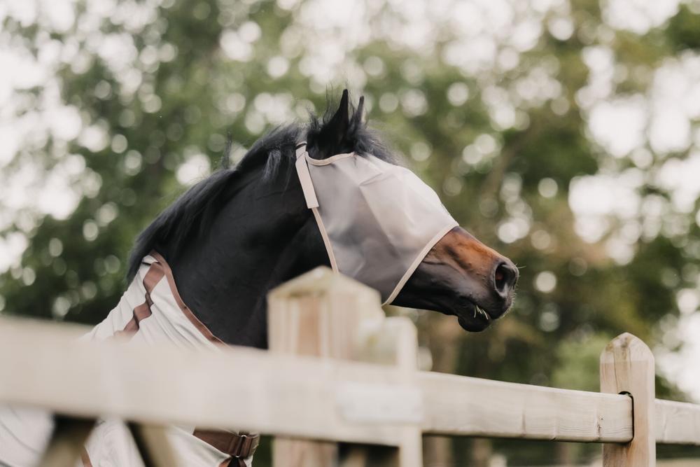 Fliegenmaske Classic ohne Ohren - Kentucky Horsewear