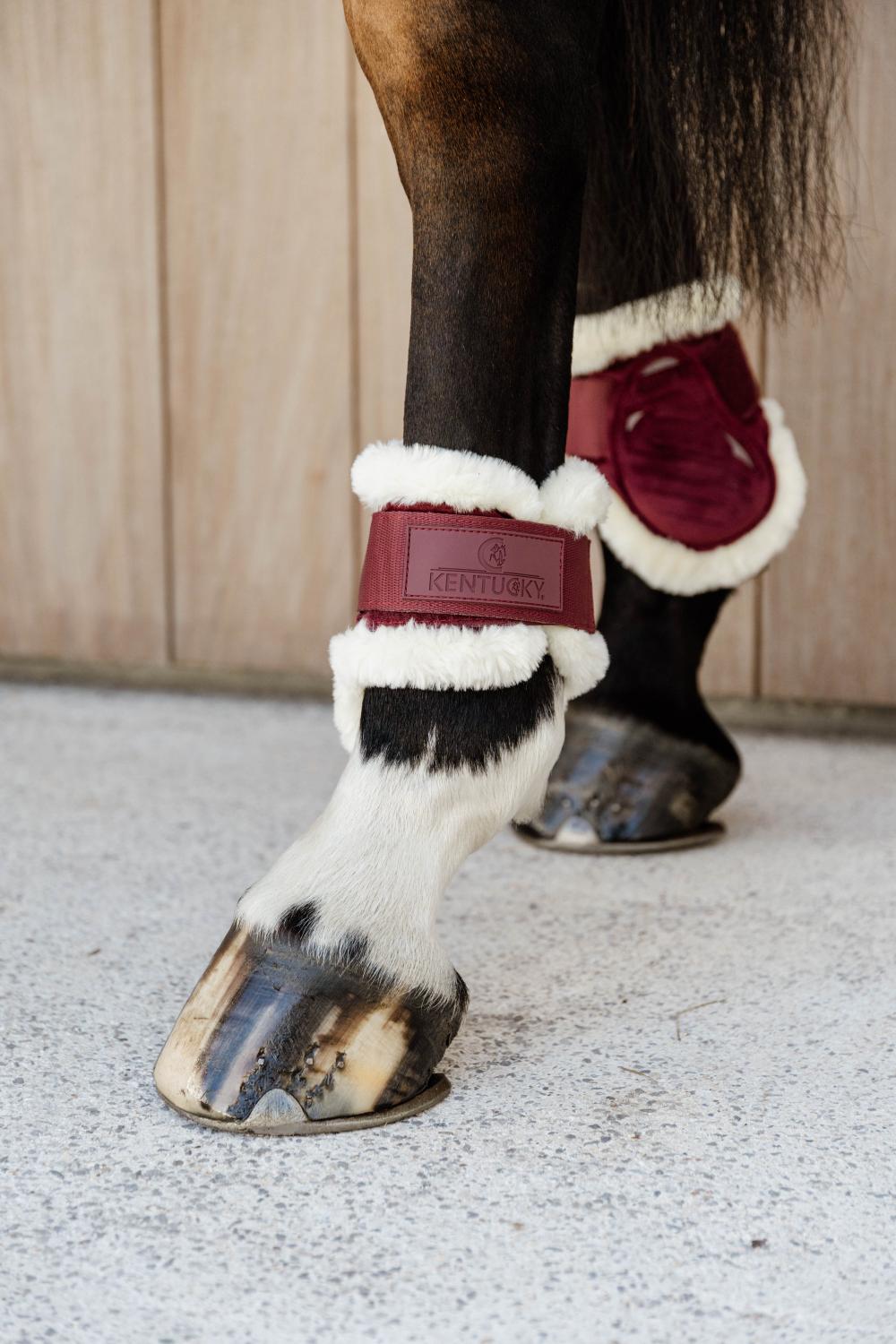 Vegan Lamfell Streichkappe Young Horse Velvet - Kentucky Horsewear