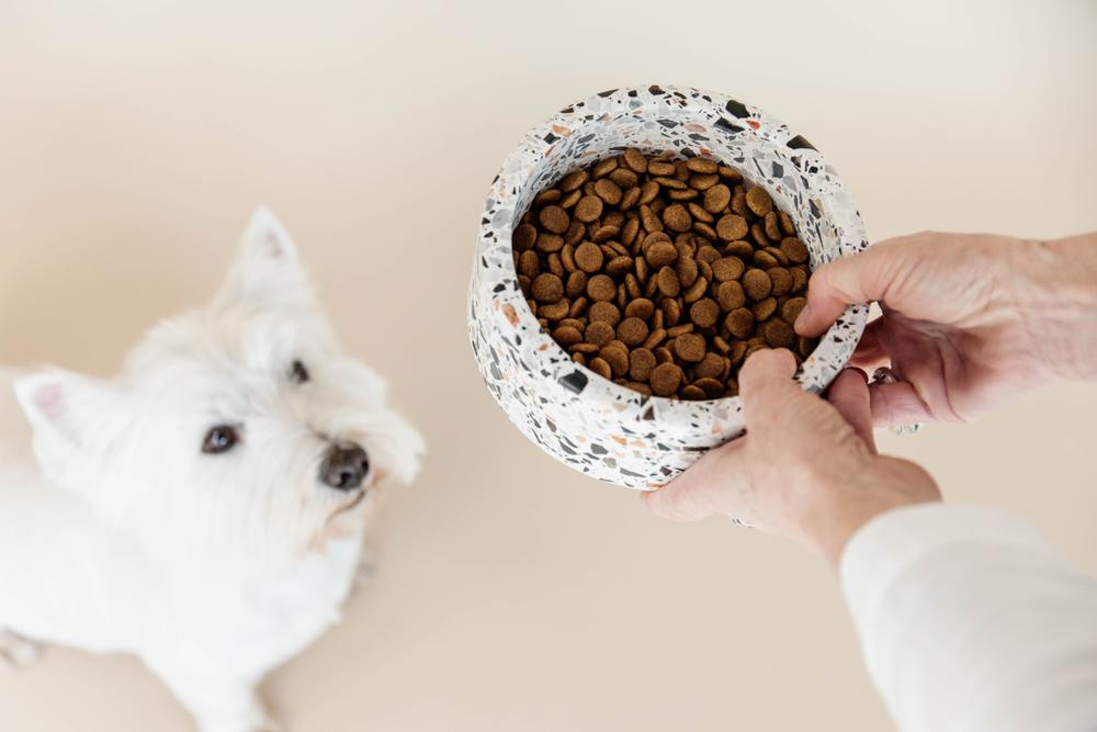 Schale Terrazzo Stein - Kentucky Dogwear