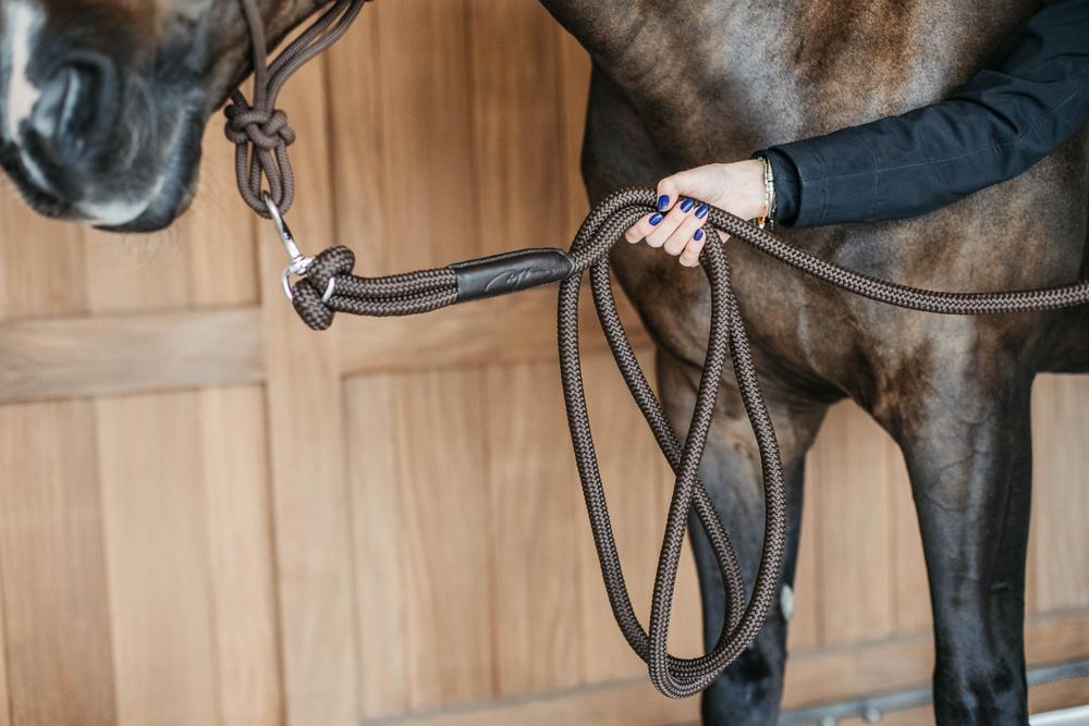 Langer Führstrick mit abnehmbarem Karabiner