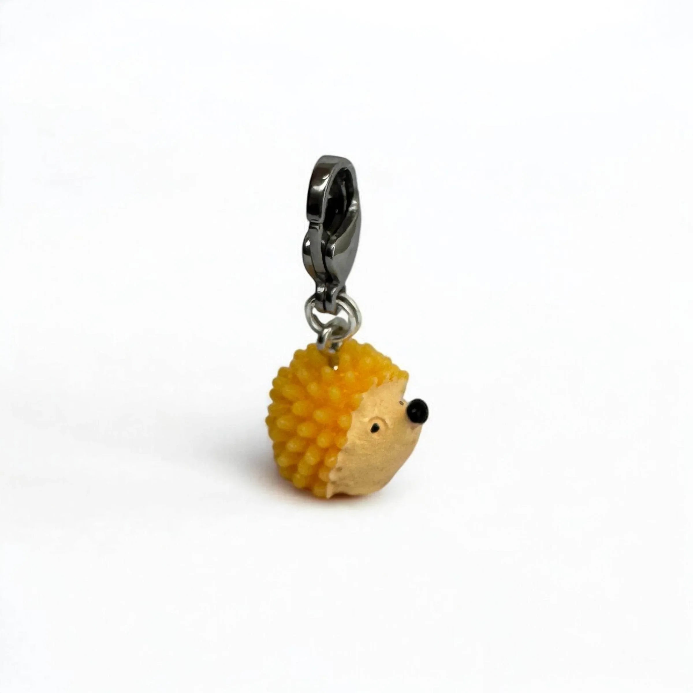 IGEL Charm