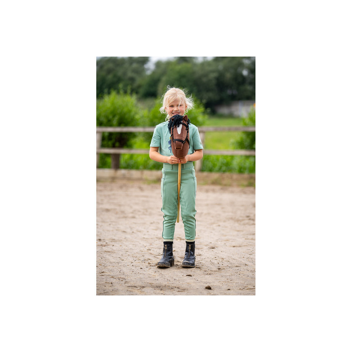 BR Mini Horse Hobby Horse