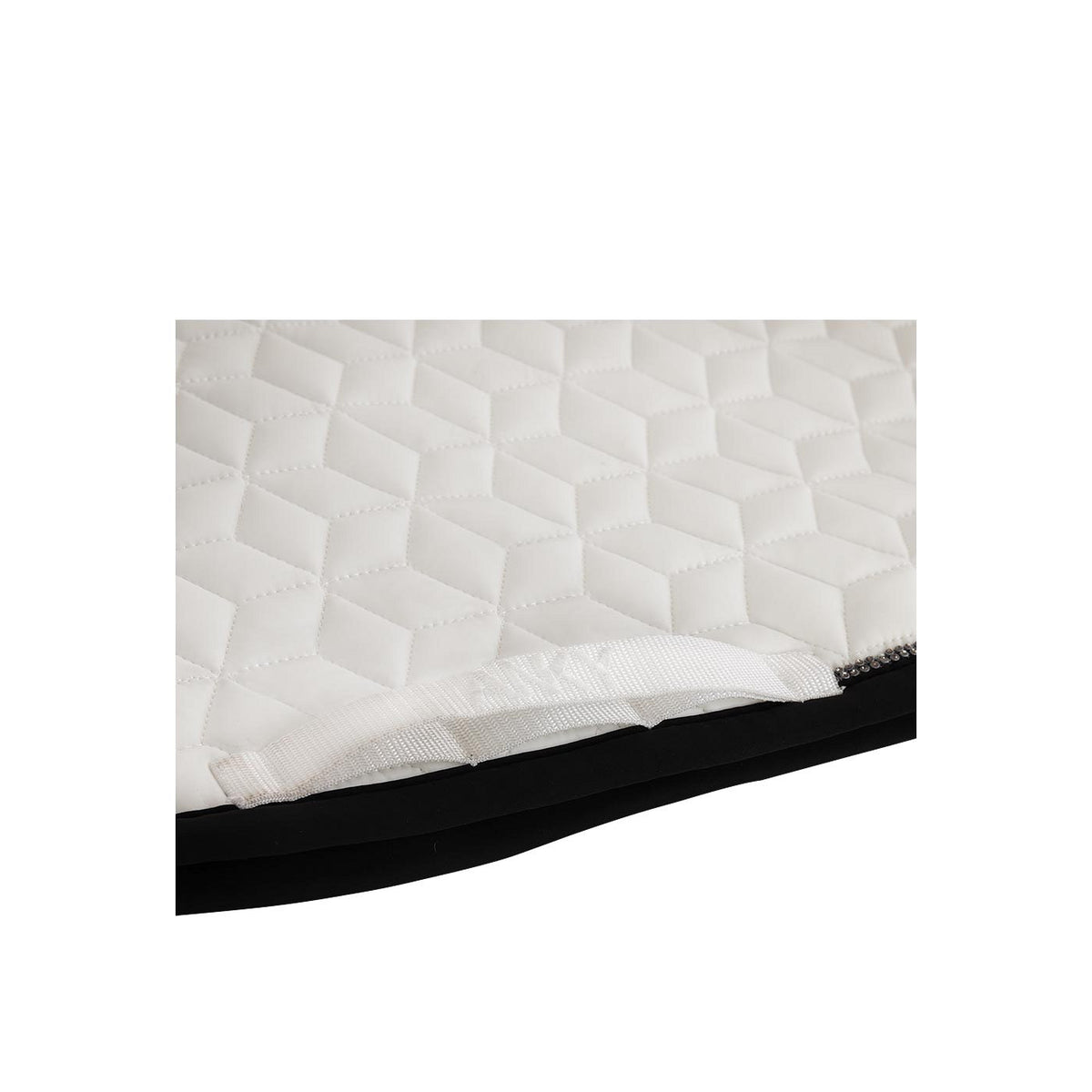 ANKY® Dressurschabracke Consensus Nylon