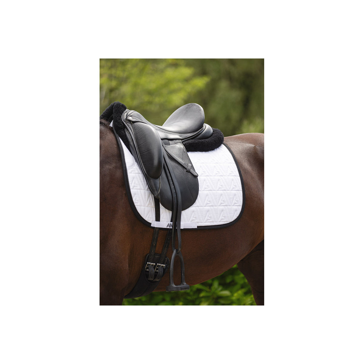 ANKY® Dressurschabracke Twill XB24001