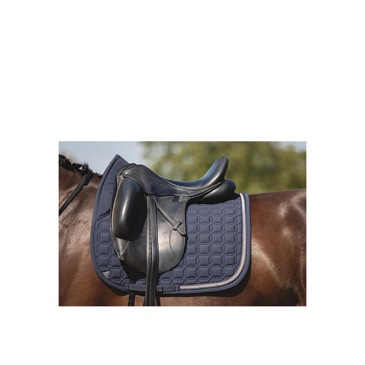 ANKY® Dressurschabracke Nylon Luminous XB24003