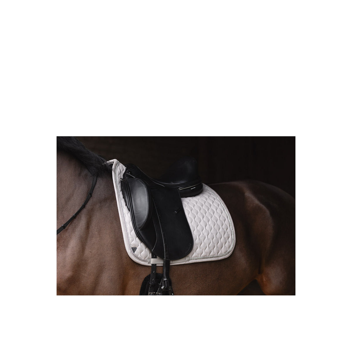 ANKY® Dressurschabracke XB25002