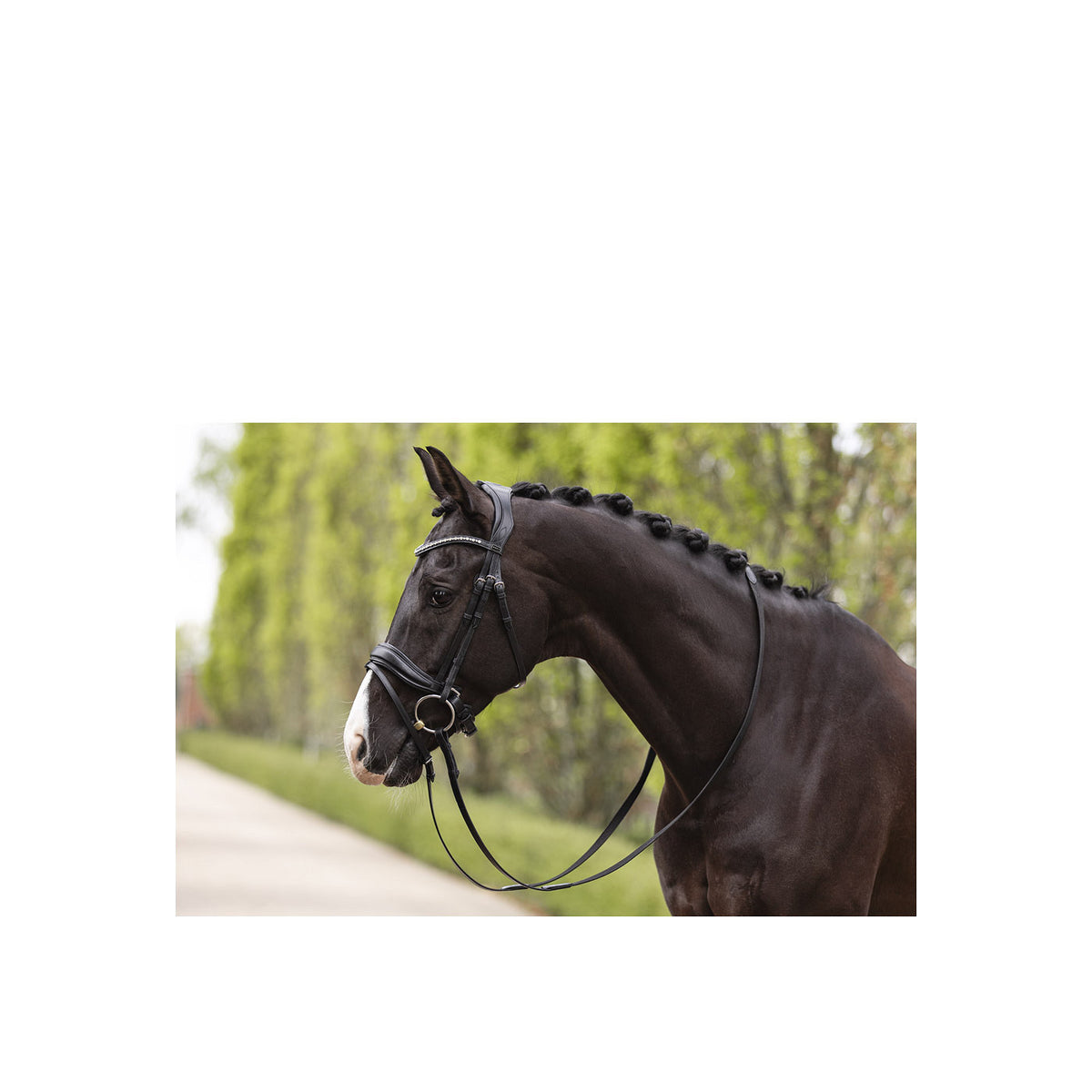 ANKY® Trense mit Pullback-Nasenriemen ATH19003
