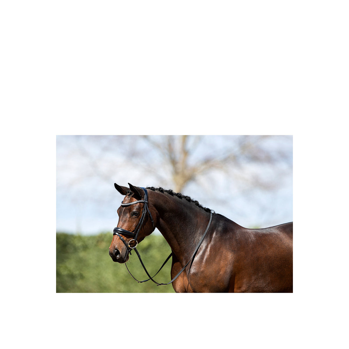 ANKY® Trense ATH20004