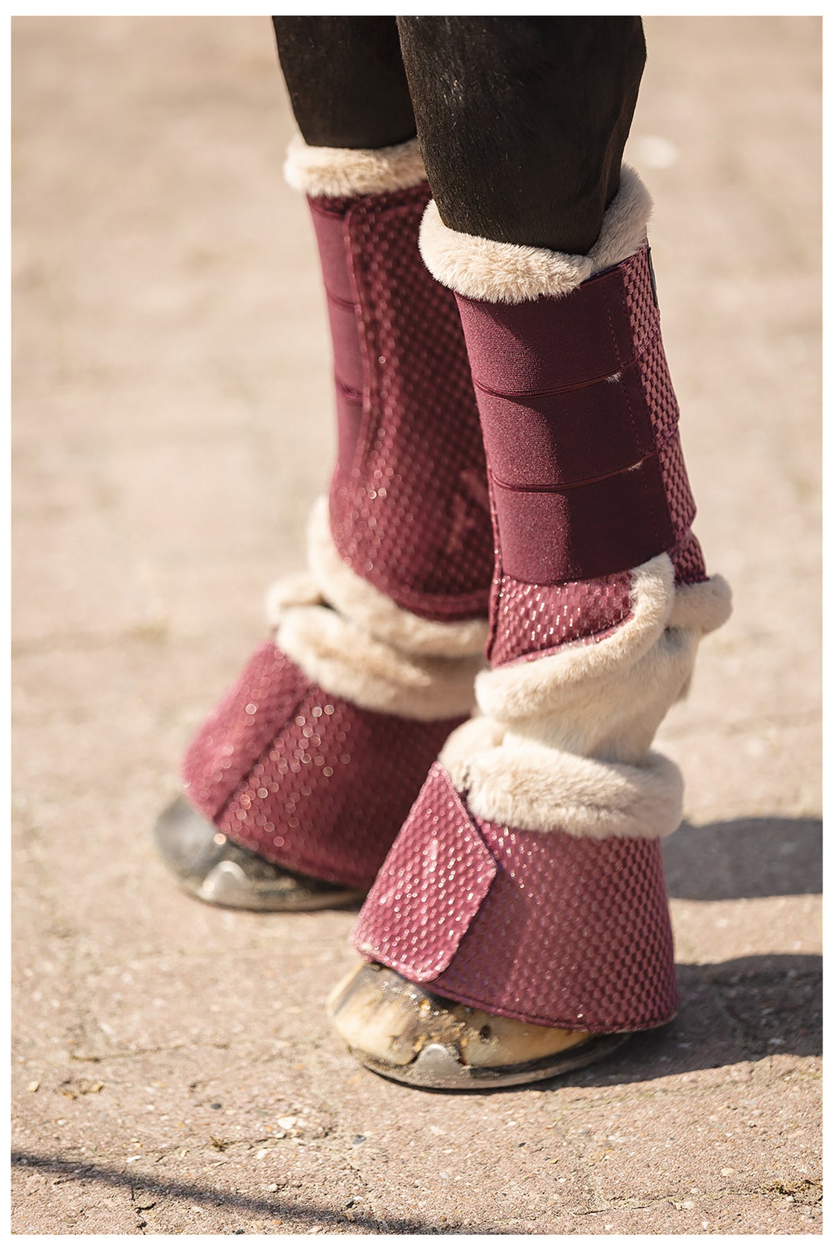 ANKY® Reitstiefel Proficient Check Velvet ATB25005